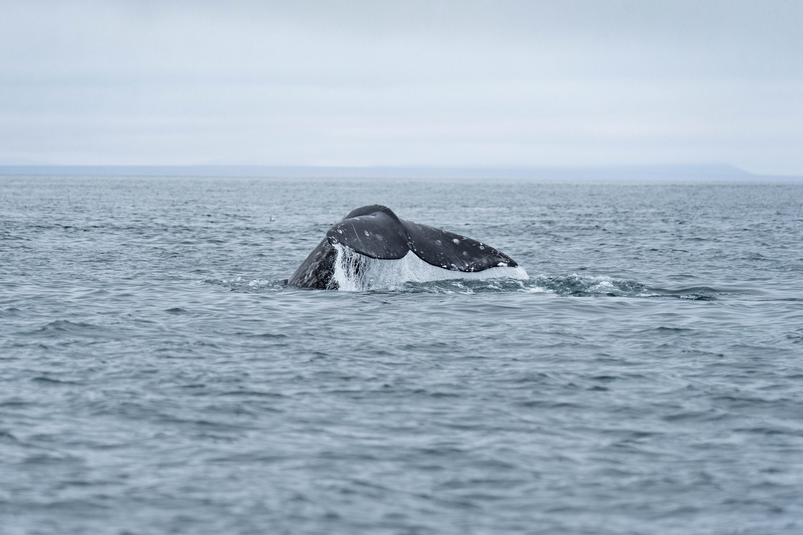 Проекты. Gusarov Travel Photography