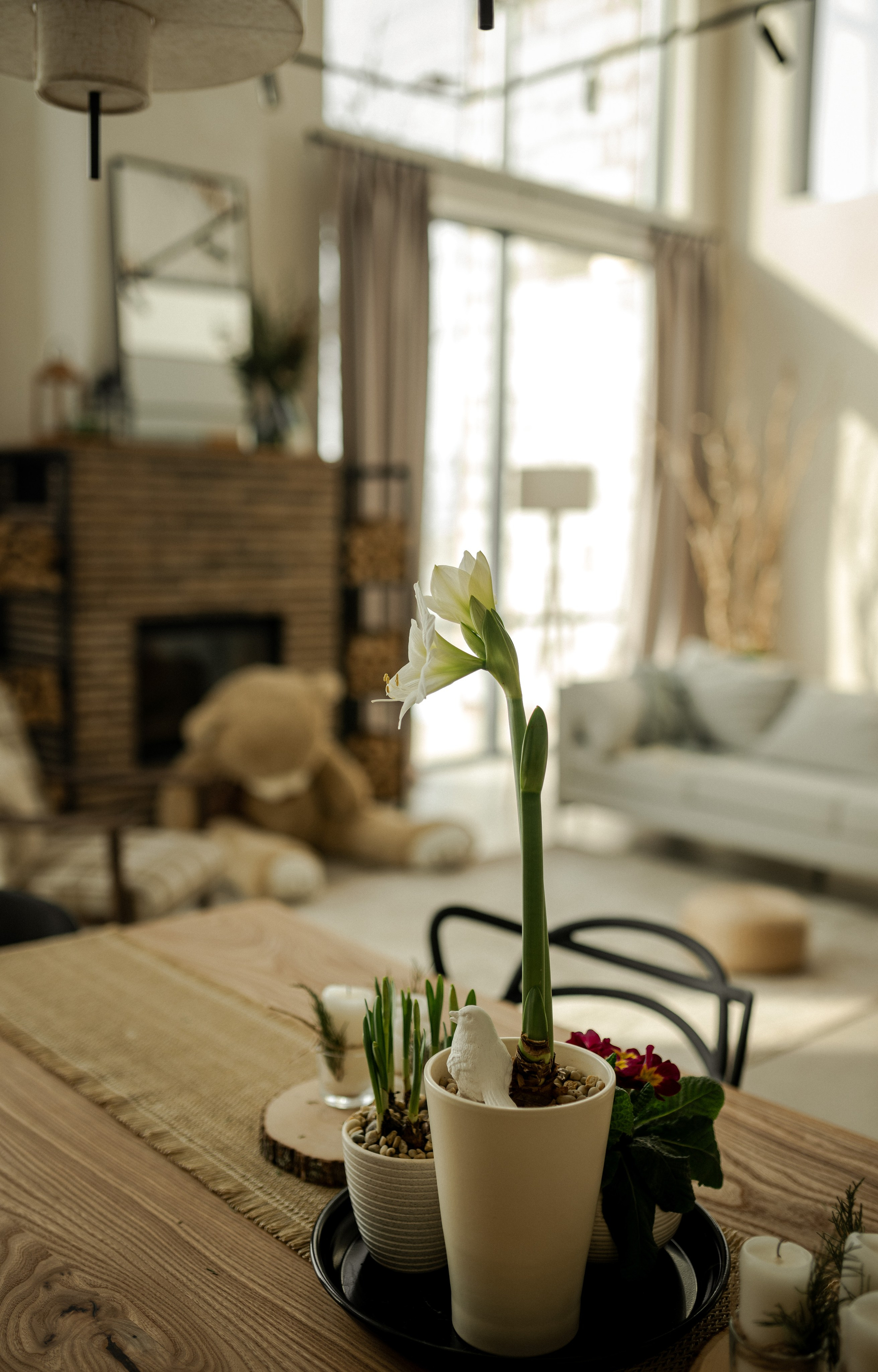 Новогодние съёмки 25/26. Профессиональный семейный и церковный фотограф в Ростове-на-Дону