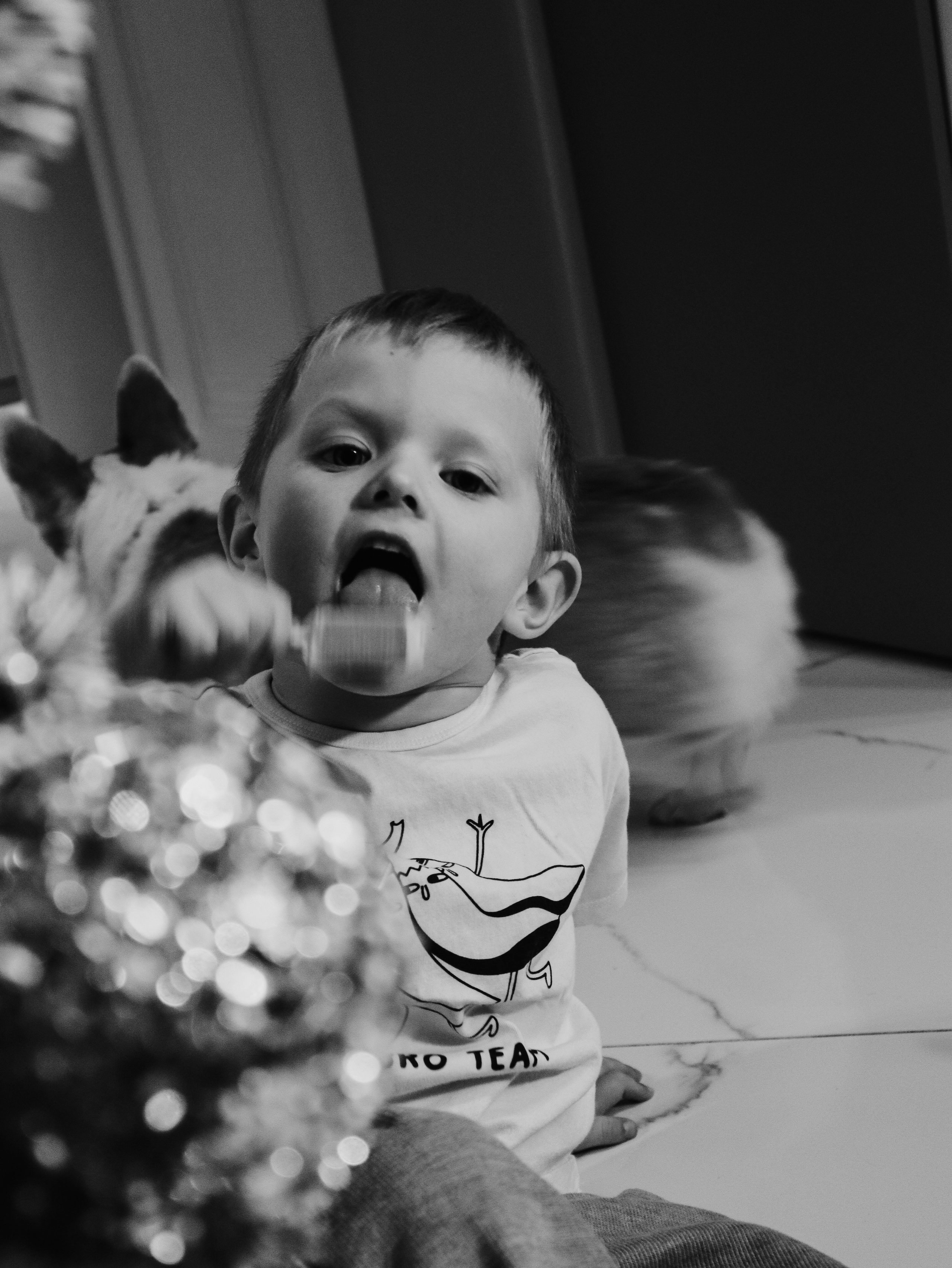 СЕМЕЙНАЯ. ИНФО. Кинематографичный фотограф, видеограф Лина Плешакова, Санкт-Петербург