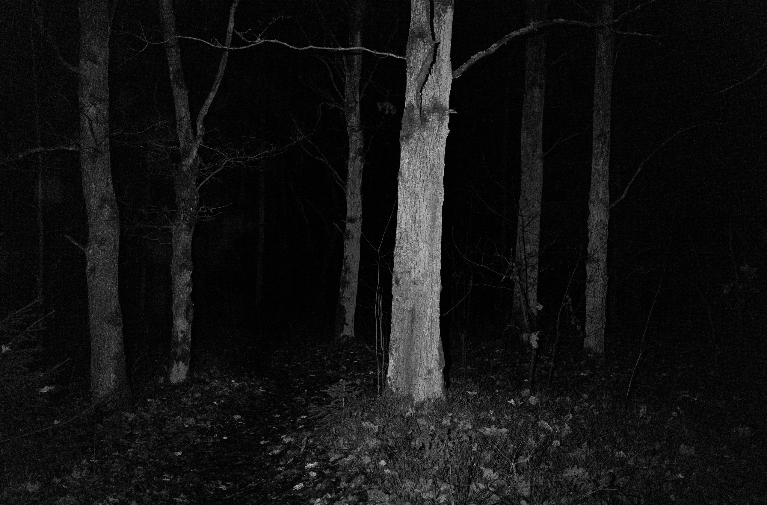 Пограничье. Юлия Леонова — фотограф, визуальный художник Минск