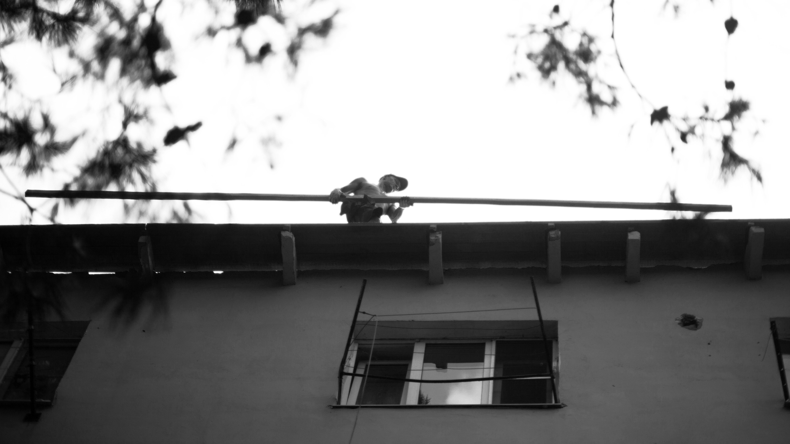 Улицы Люди на улицах Природа Животные — фотограф Оля Волчкова