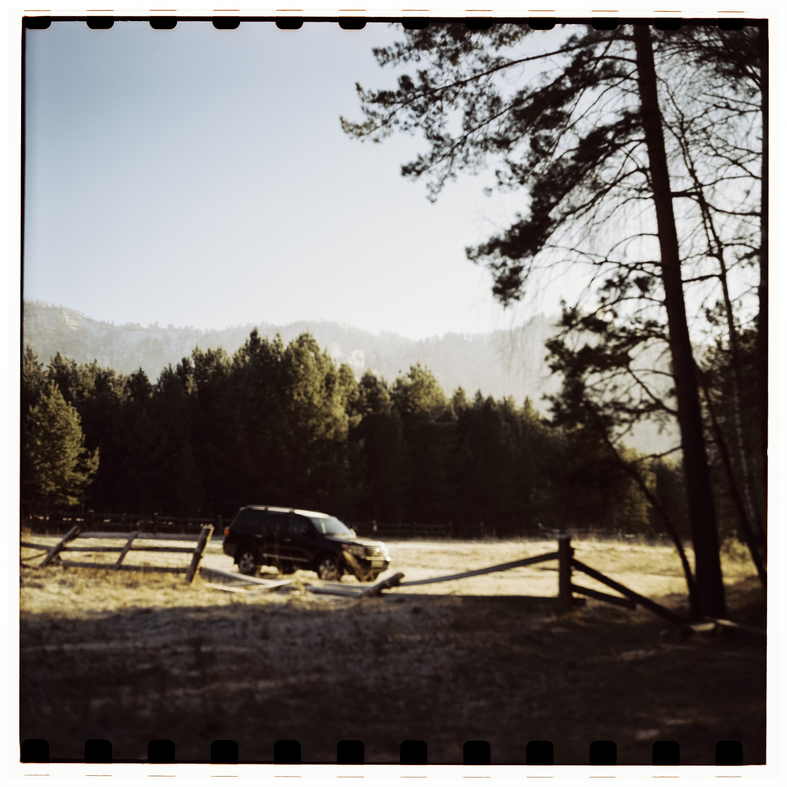 Чемальский тракт, Кедровый остров, Семинская поляна, Coffe Bus