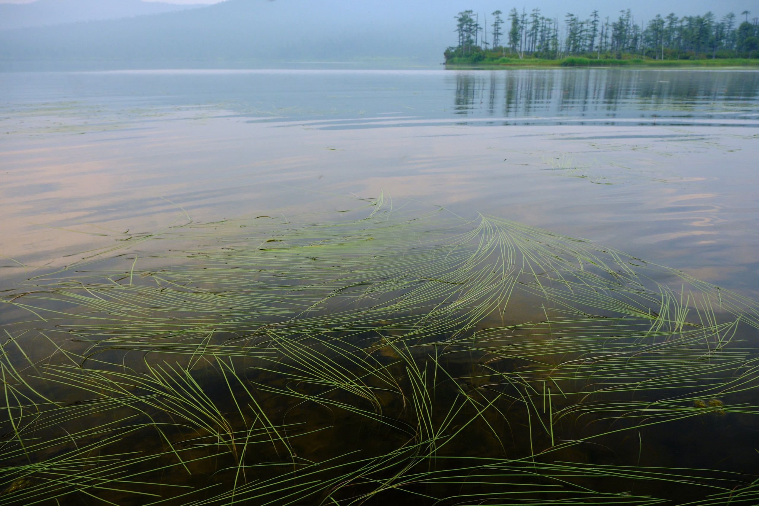 Главная. Юрий Березнюк. Фотограф в Новороссийске. Фотожурналистика
