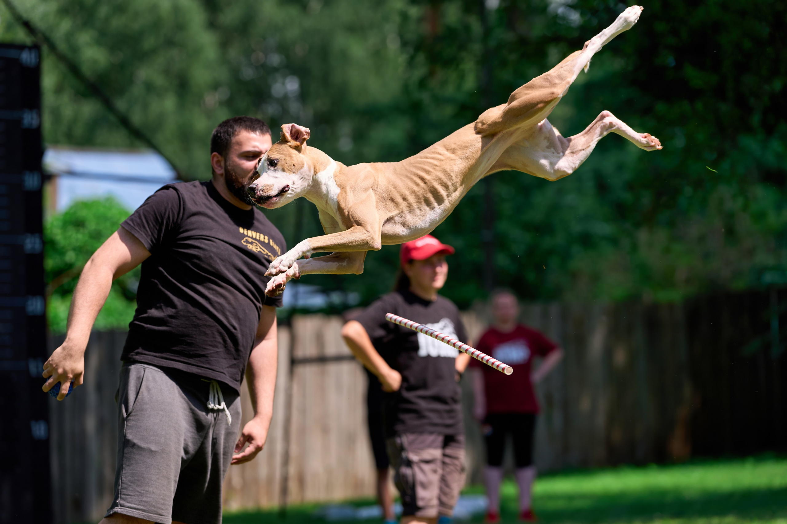 Двухдневные соревнования «Jump'n'Gym Fest — 2024». Фотограф-анималист Михаил Манухин