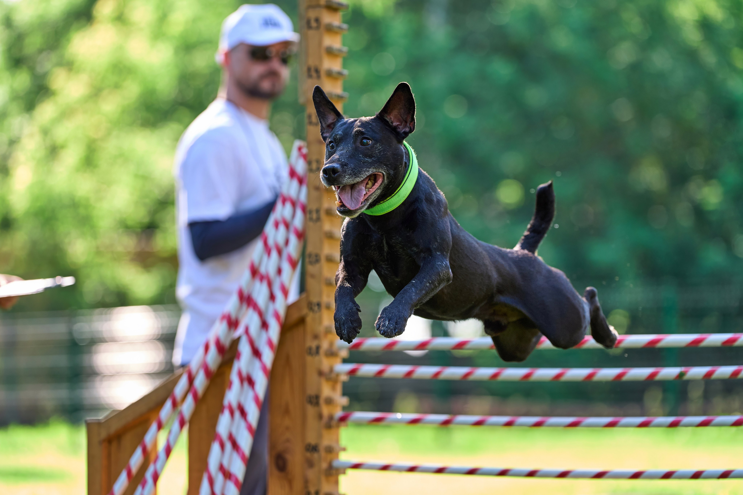 Двухдневные соревнования «Jump'n'Gym Fest — 2024». Фотограф-анималист Михаил Манухин