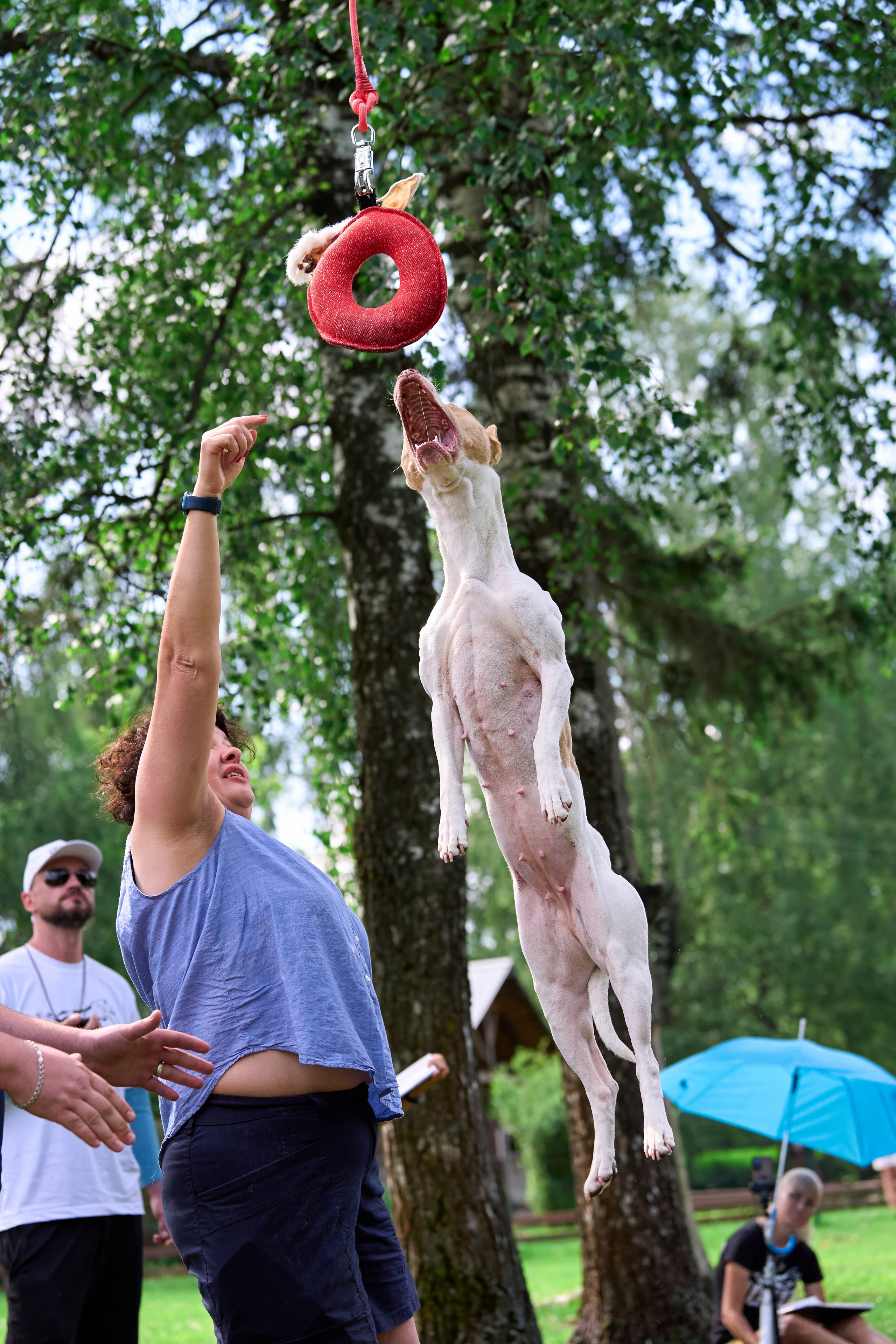 Двухдневные соревнования «Jump'n'Gym Fest — 2024». Фотограф-анималист Михаил Манухин