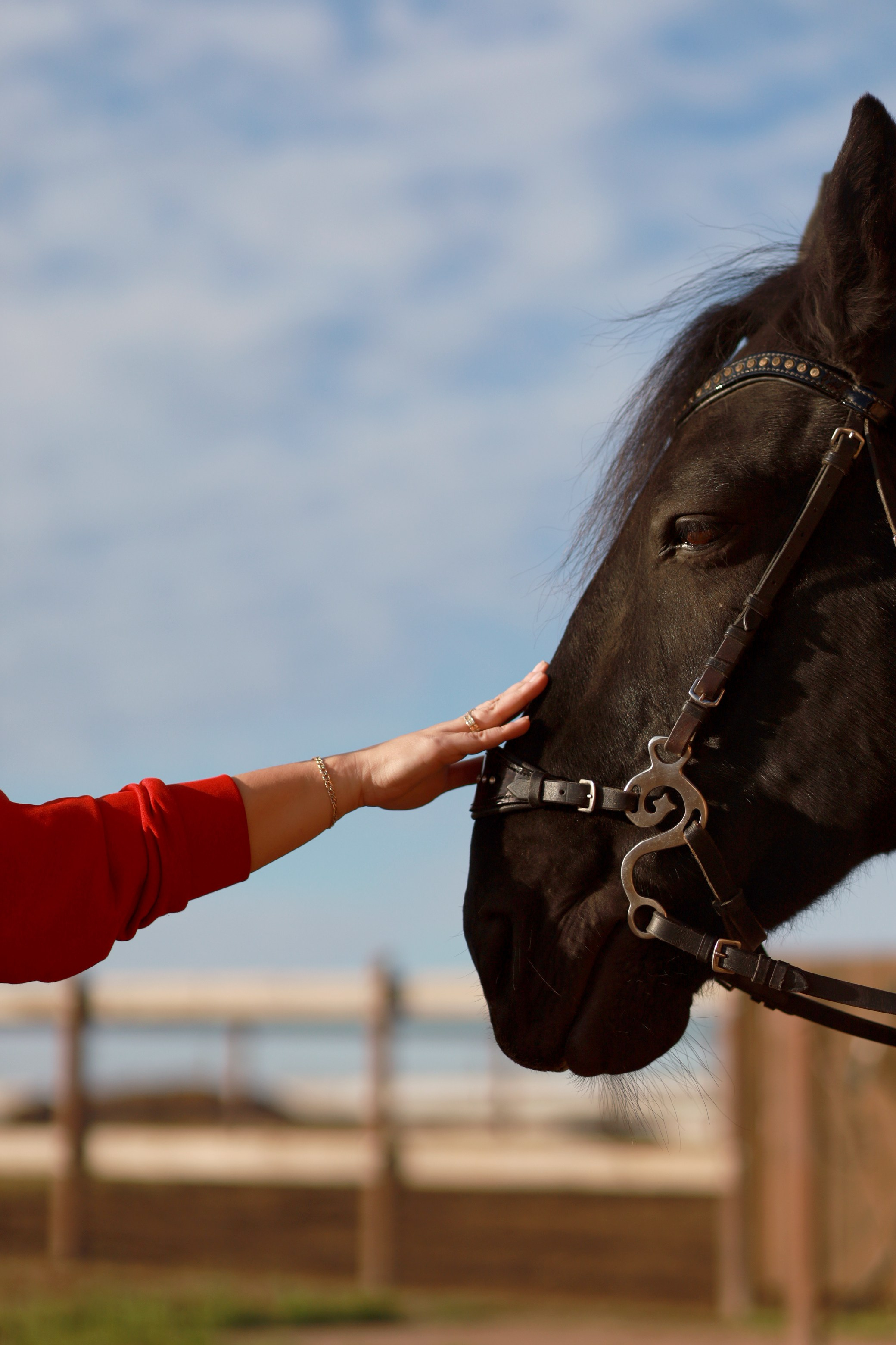 Катюша конная прогулка. Женский фотограф в Оренбурге Ирина Заводчикова