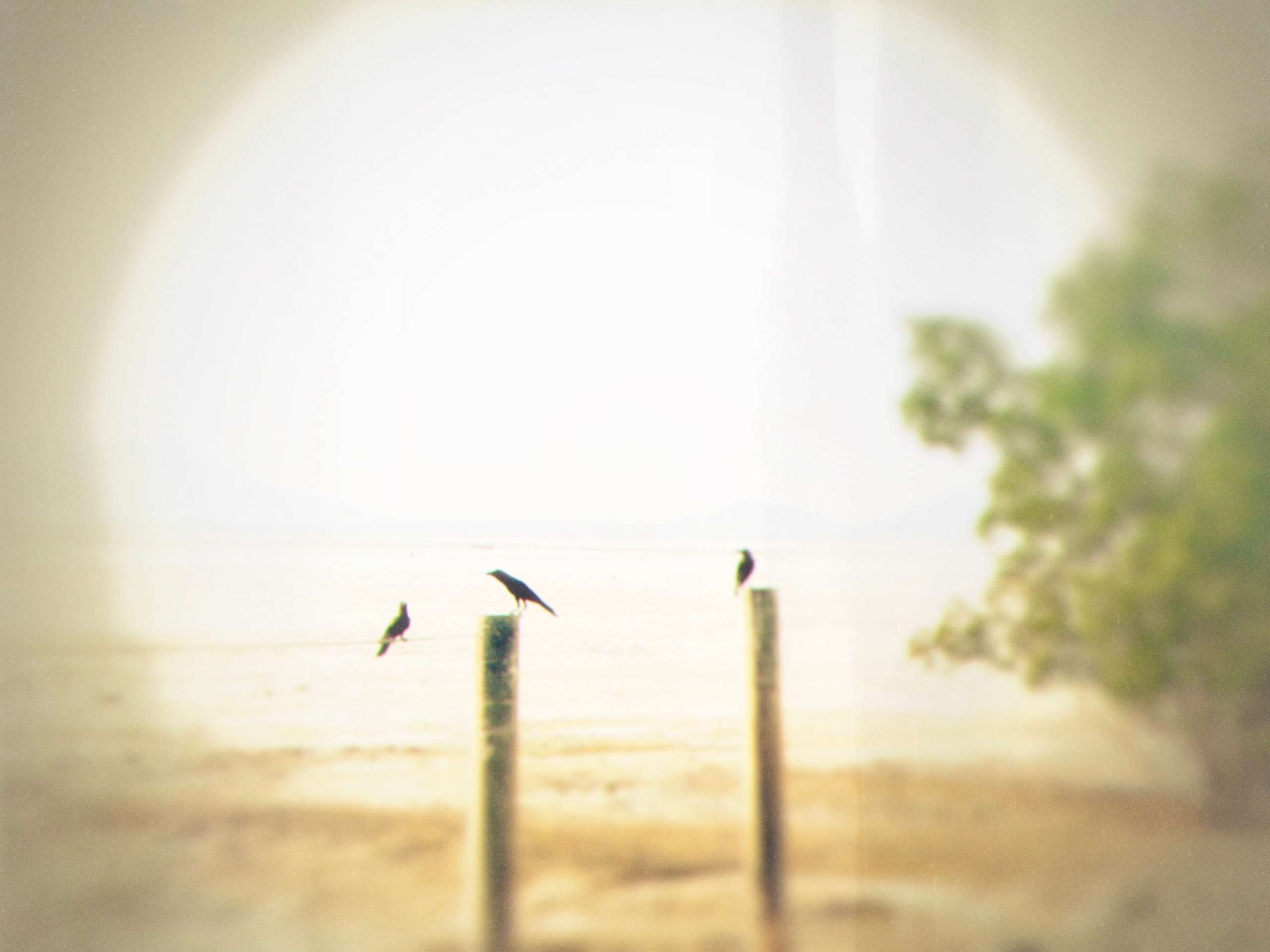 MINIMALISTIC LANDSCAPE. Evgeniia Mikheeva — International visual artist