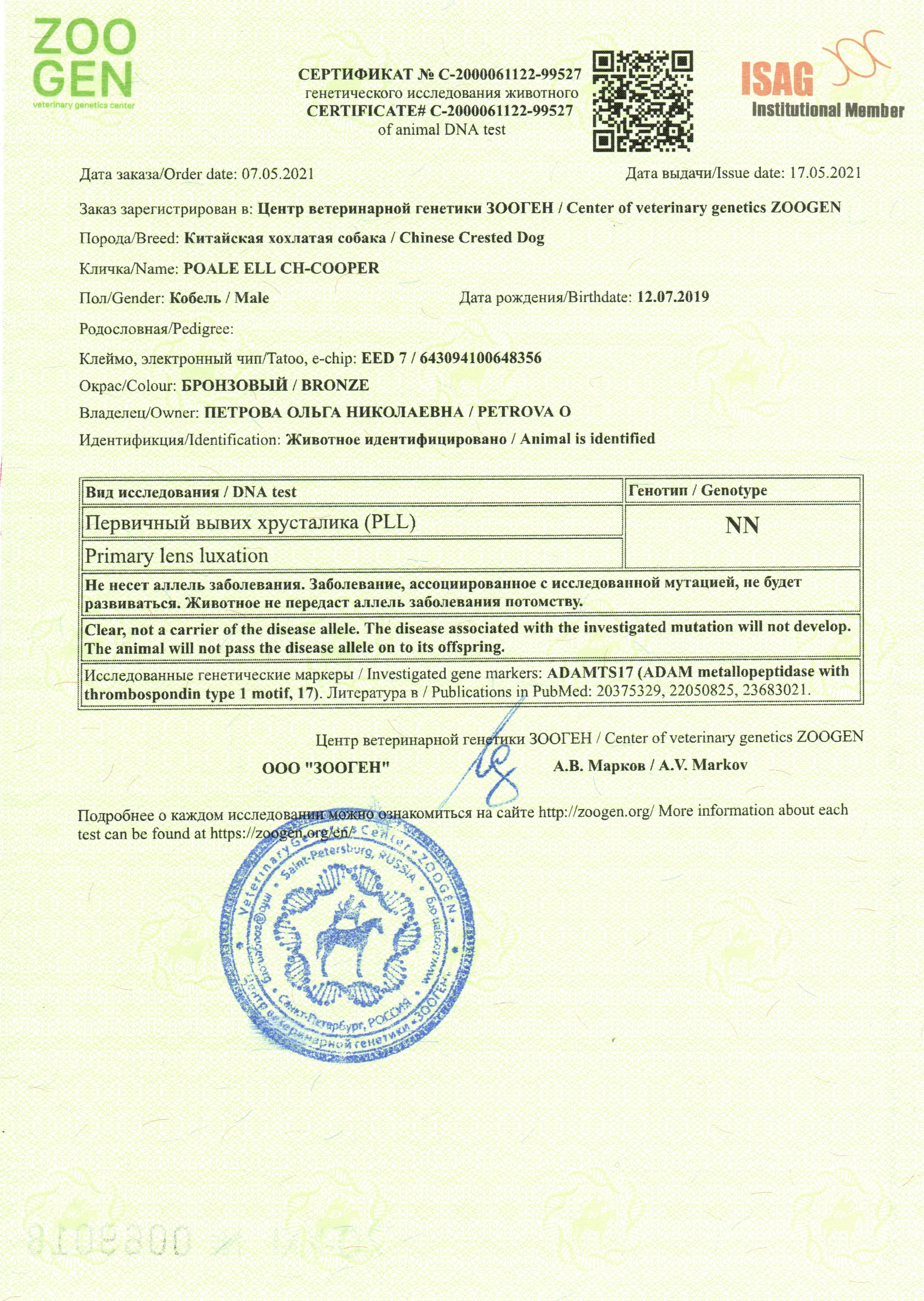 Poale Ell Cooper. Chinese Crested Dog Kennel Poale Ell