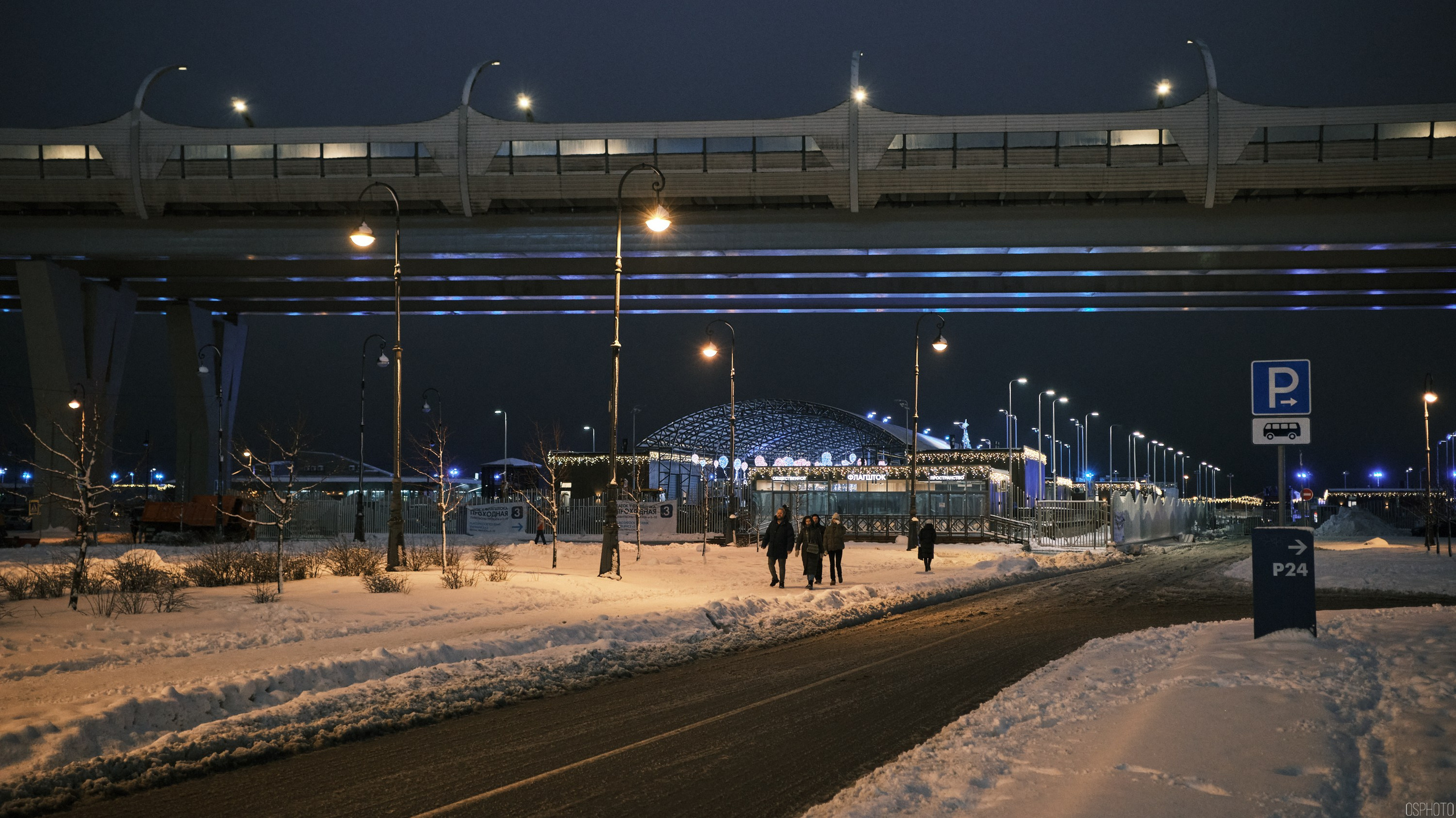 Снег и туман в Санкт-Петербурге. Фотографъ Сергѣевъ. Поймать мгновеніе