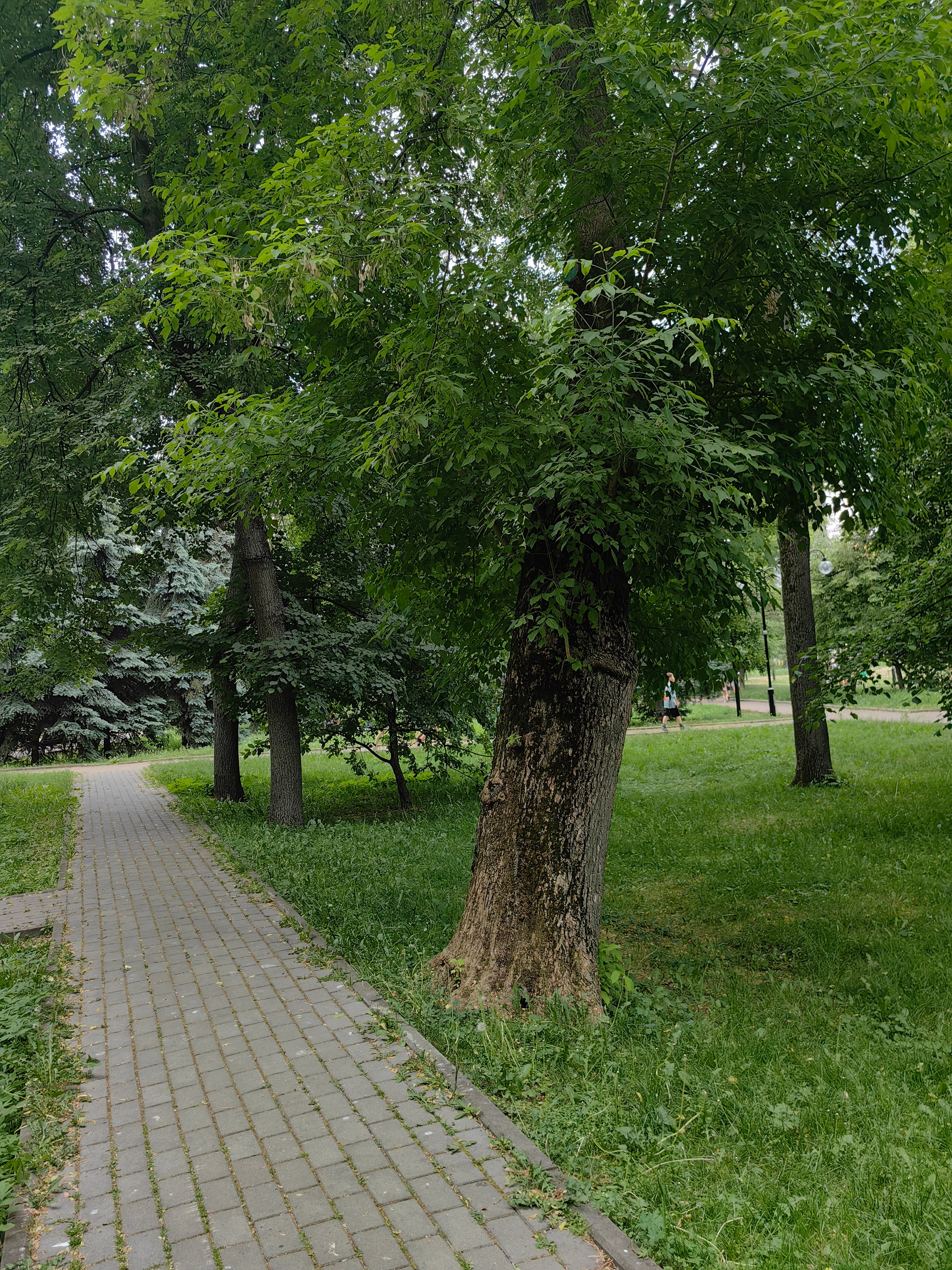 Парк ЕКАТЕРИНИНСКИЙ обзор. Фотограф в Москве и Московской области (Ю-В) Олеся Макарова