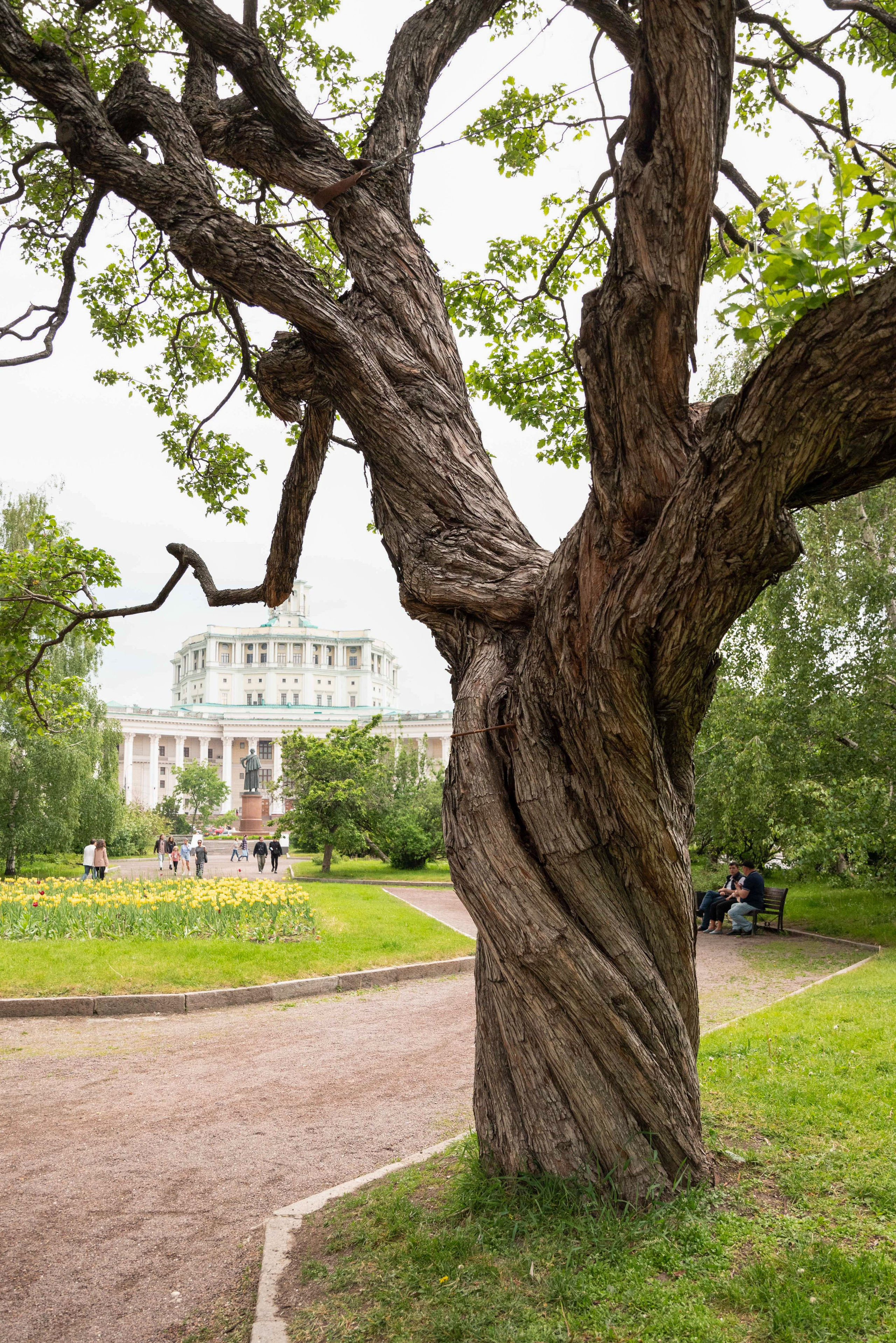 Парк ЕКАТЕРИНИНСКИЙ обзор. Фотограф в Москве и Московской области (Ю-В) Олеся Макарова