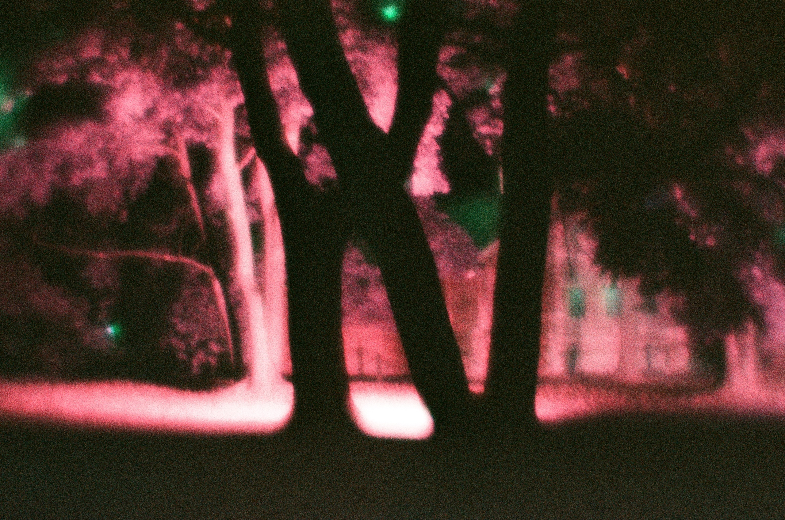 Елена Чернышова — Пираты воображения