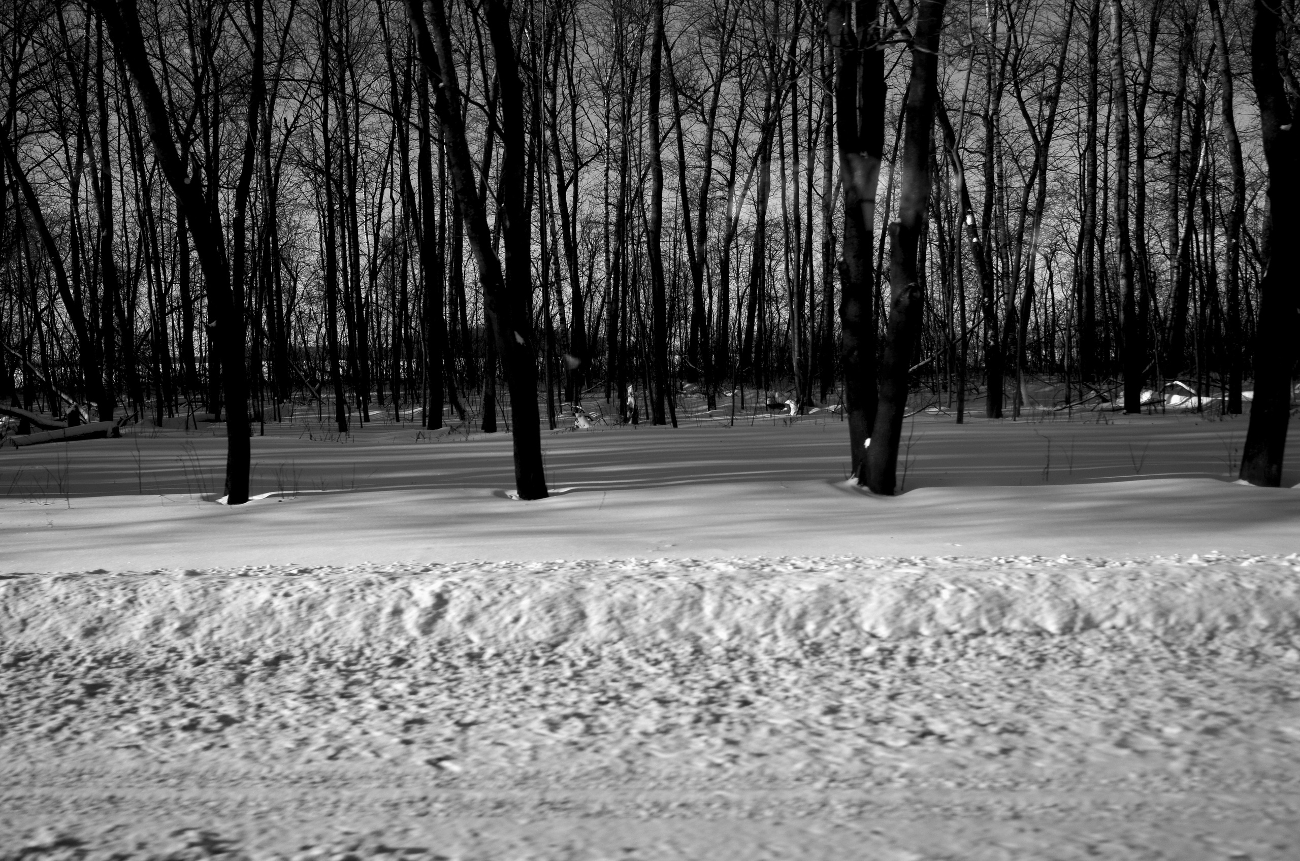 Дорожные работы🚸. Анна Хвалина