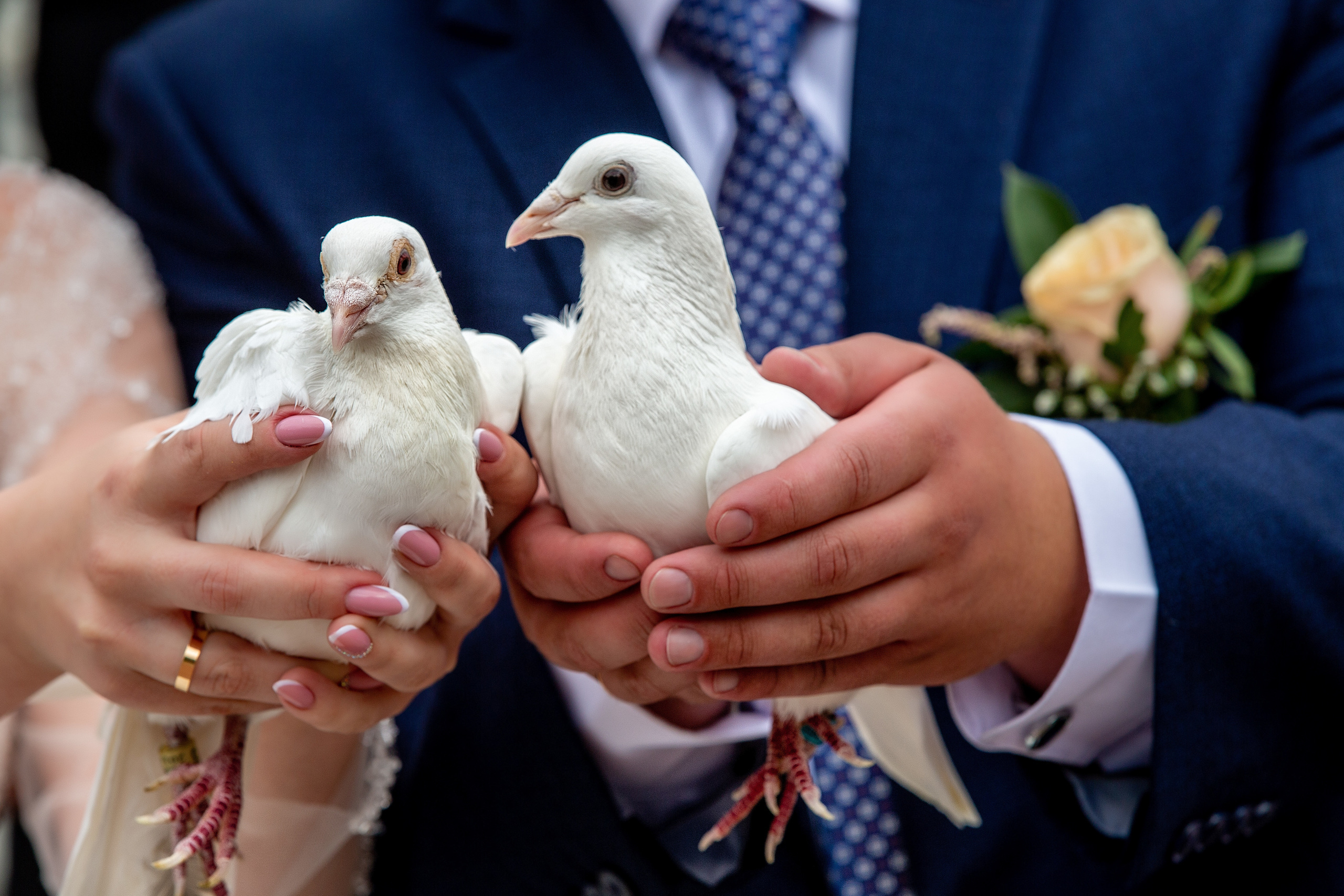 Свадебная фотосессия Димы и Дарьи. Свадебный фотограф в Барановичах Вячеслав Шах-Гусейнов, фотошкола