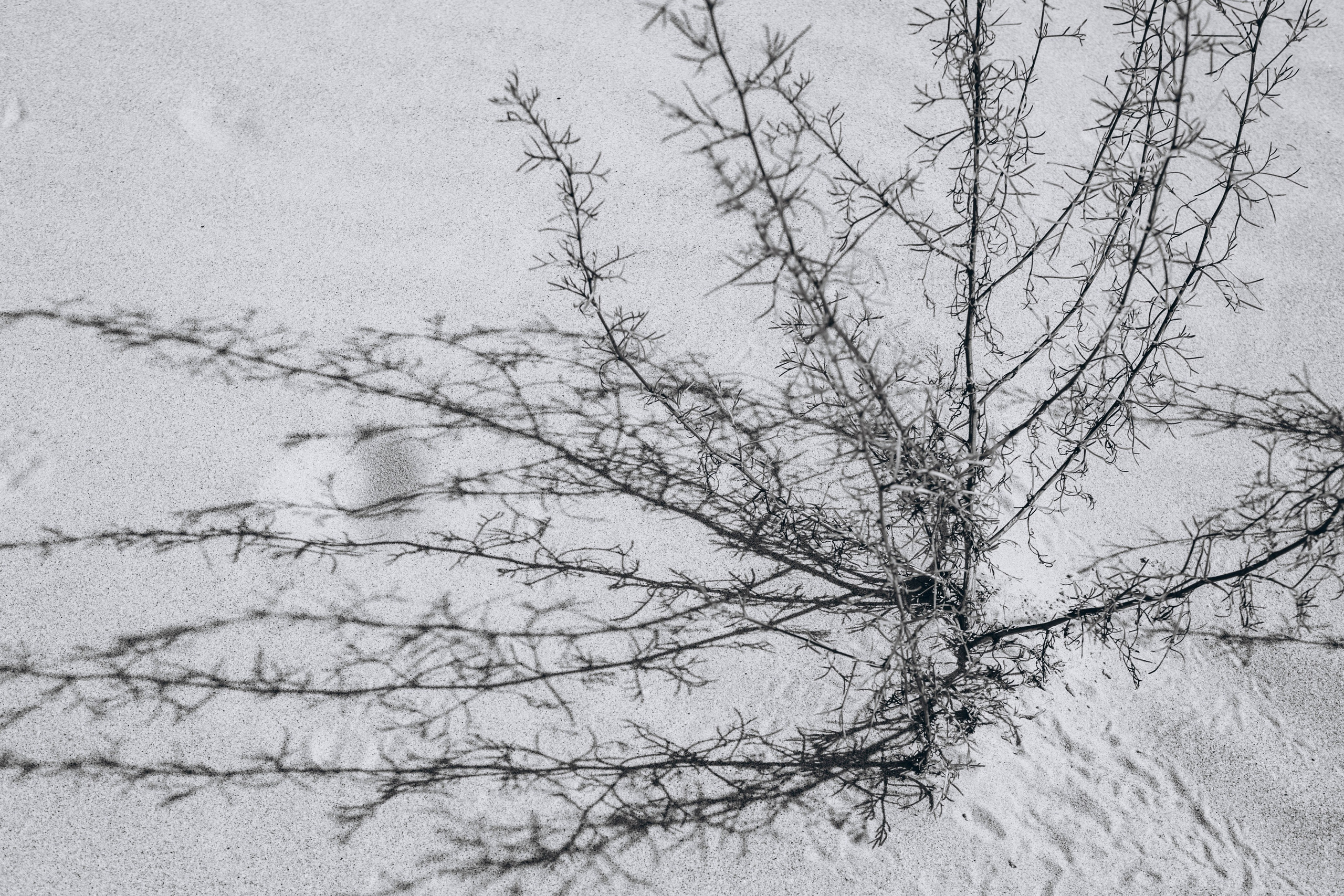 Путешествия говорят. Портретный женский фотограф в Москве Наталия Глазова