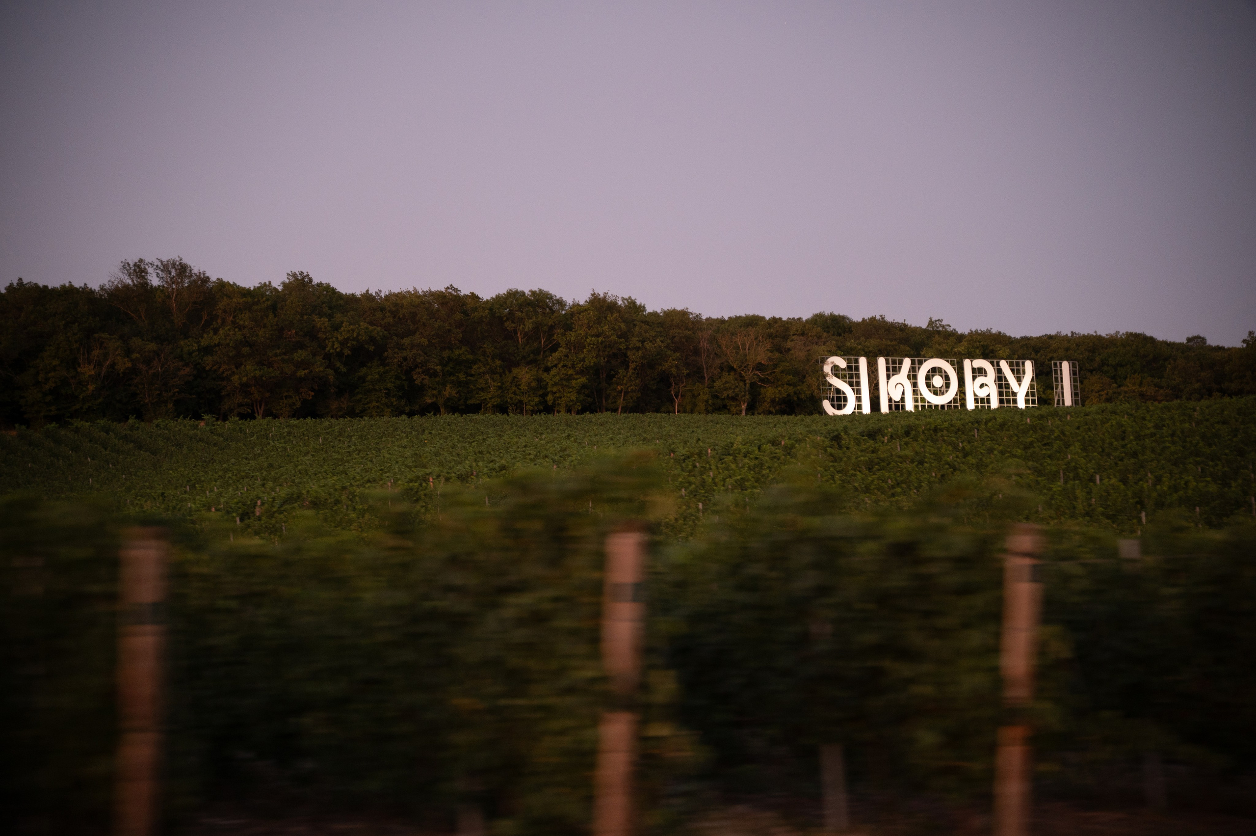 Репортажный фотограф Сочи