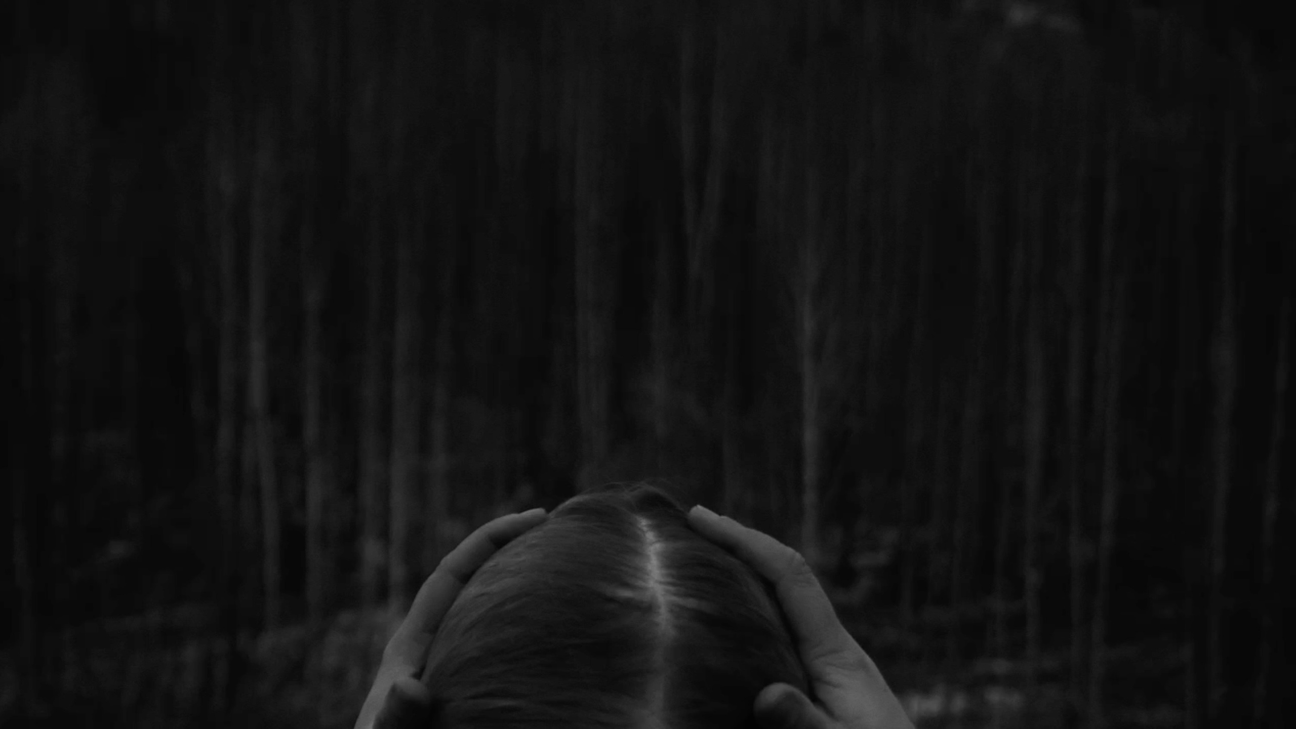 Нежные бабы. Что мне делать, чтобы земля оставалась на месте. Художественная группа «Нежные Бабы»