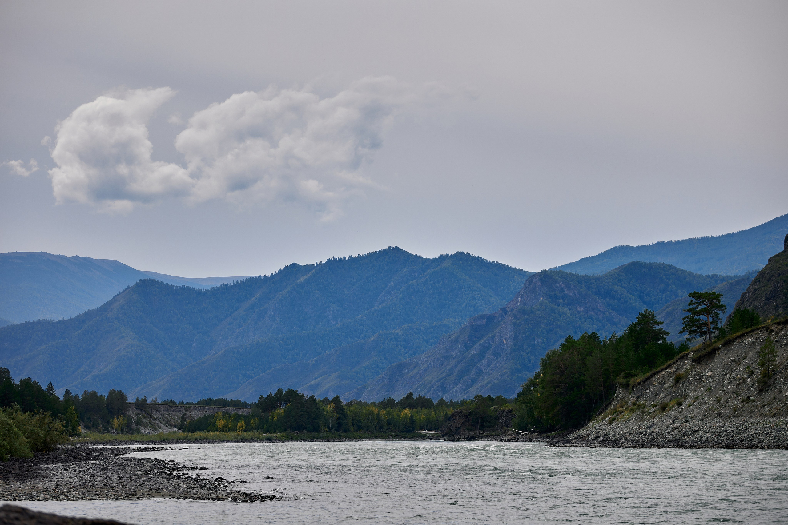 Портфолио. Свадебный репортажный и фуд фотограф в Барнауле Гайфулин Виталий
