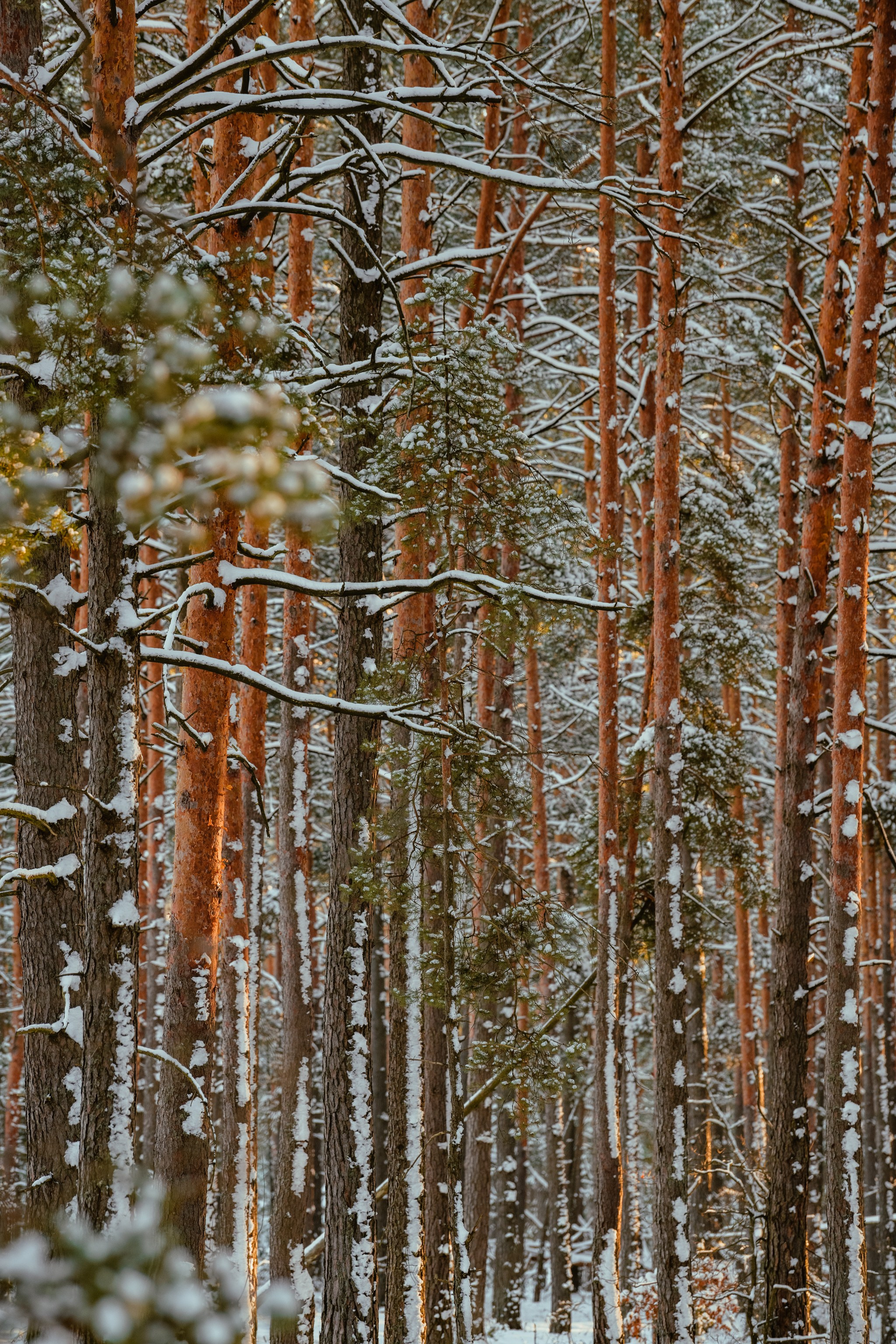 Репортажный фотограф Владимир Беляй