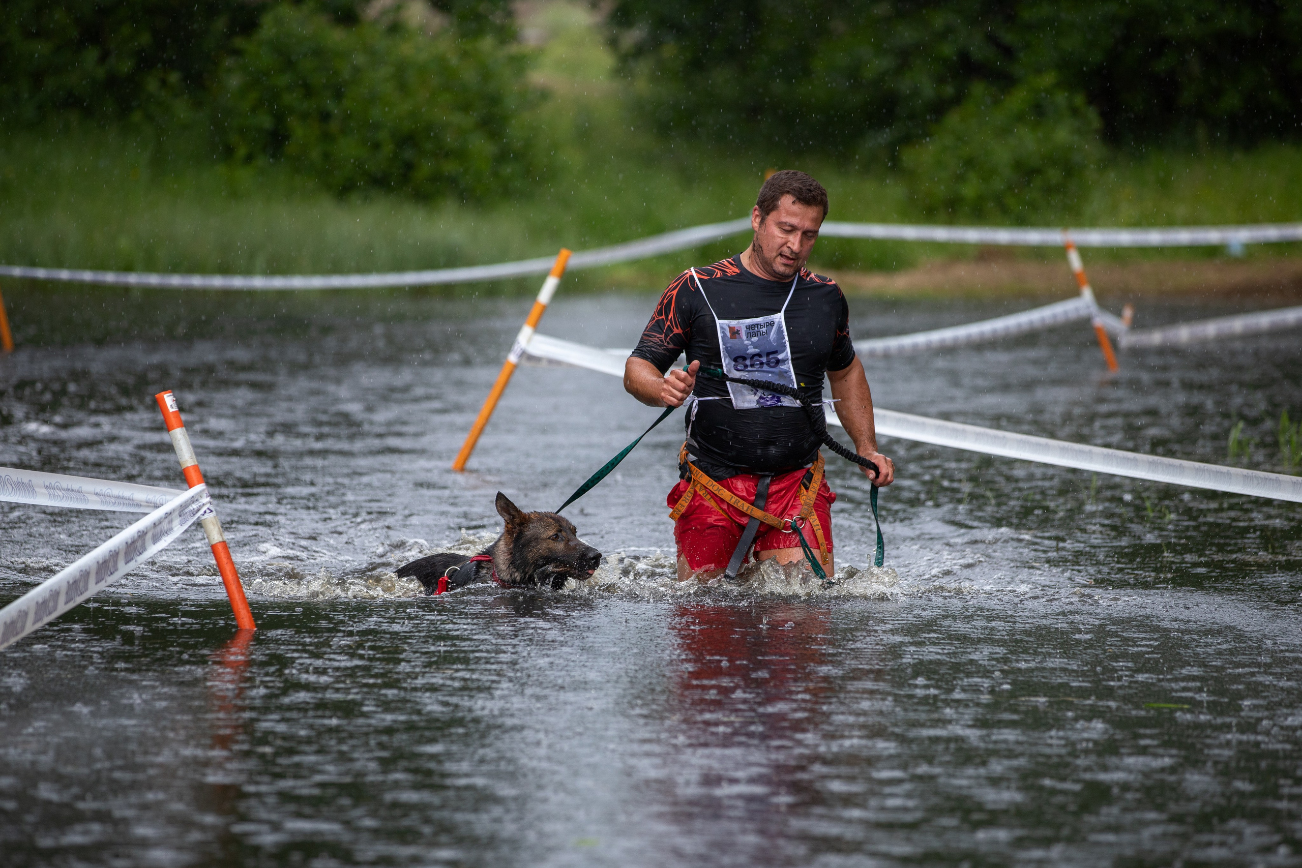 Репортаж. Фотограф-анималист в Калуге Мария Шерскова