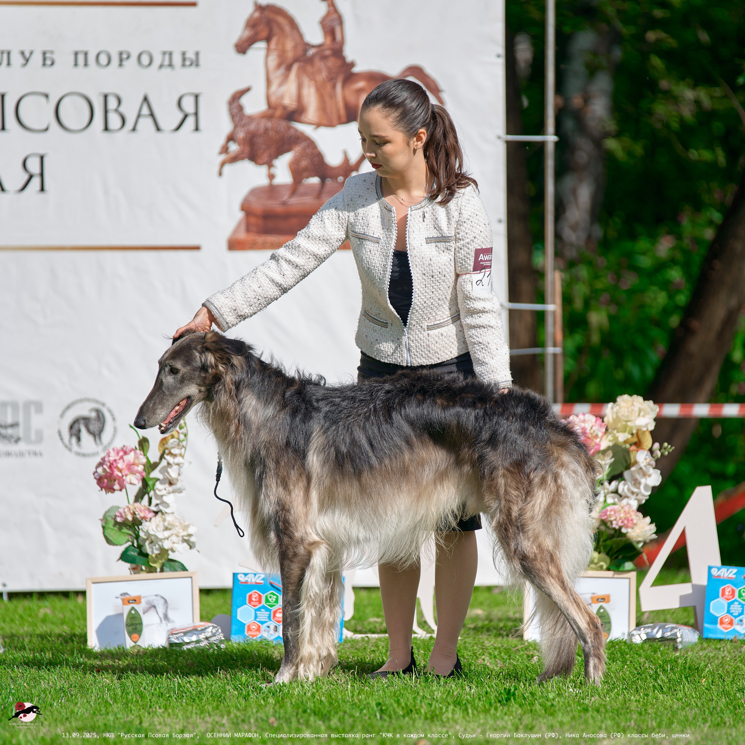 ОСЕННИЙ МАРАФОН | Специализированная выставка породы Русская Псовая Борзая ранг "КЧК в каждом классе"