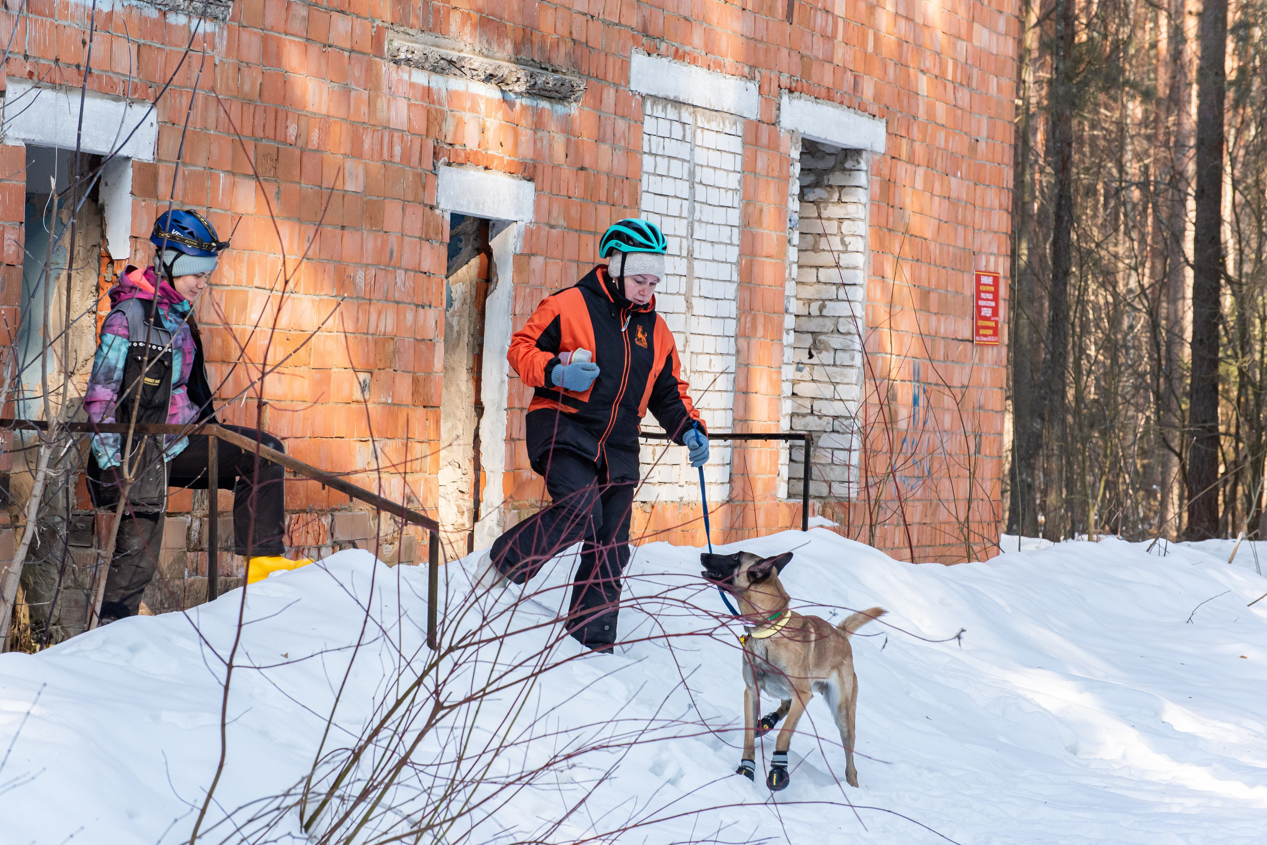 Фотосессии в кинологическом лагере. Фотограф Макс Огурцов в Нижнем Новгороде