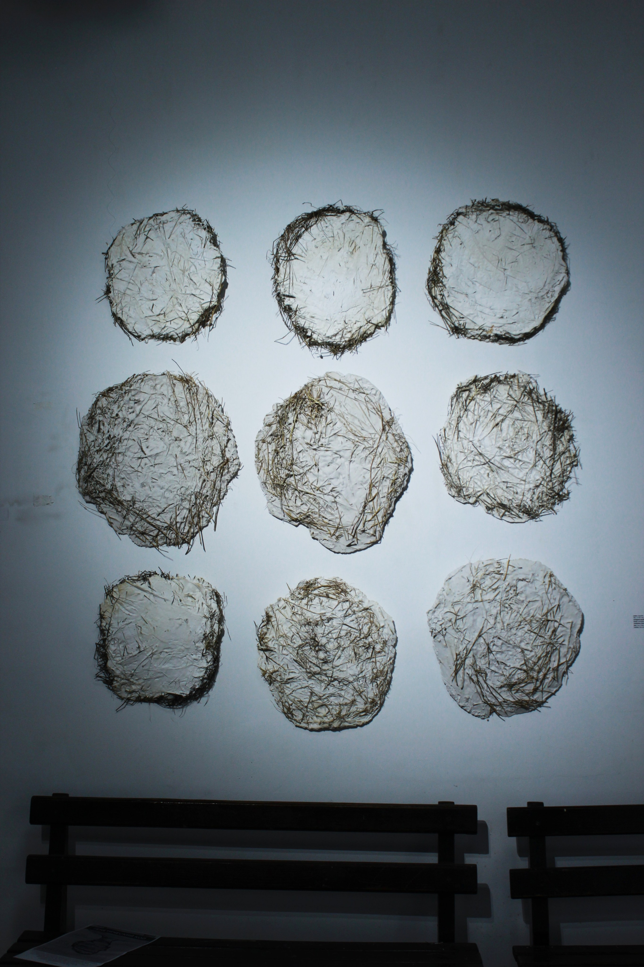 «Генетический код» Алматы 2019. Лилия Ким. Междисциплинарный художник