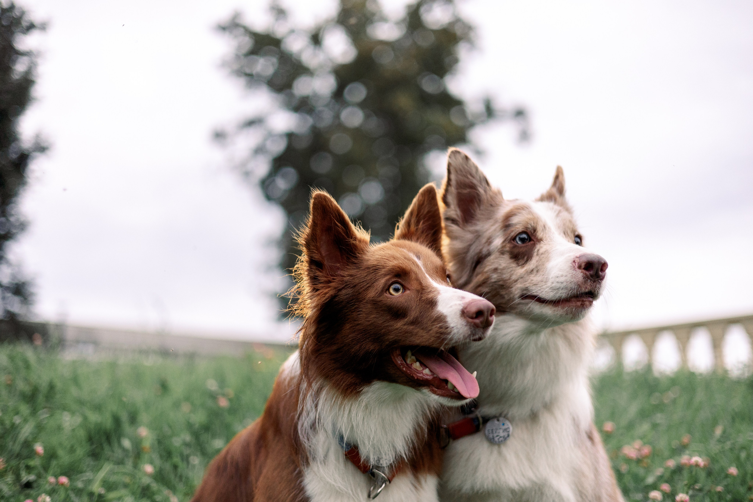 Фотограф Анна Луценко Москва