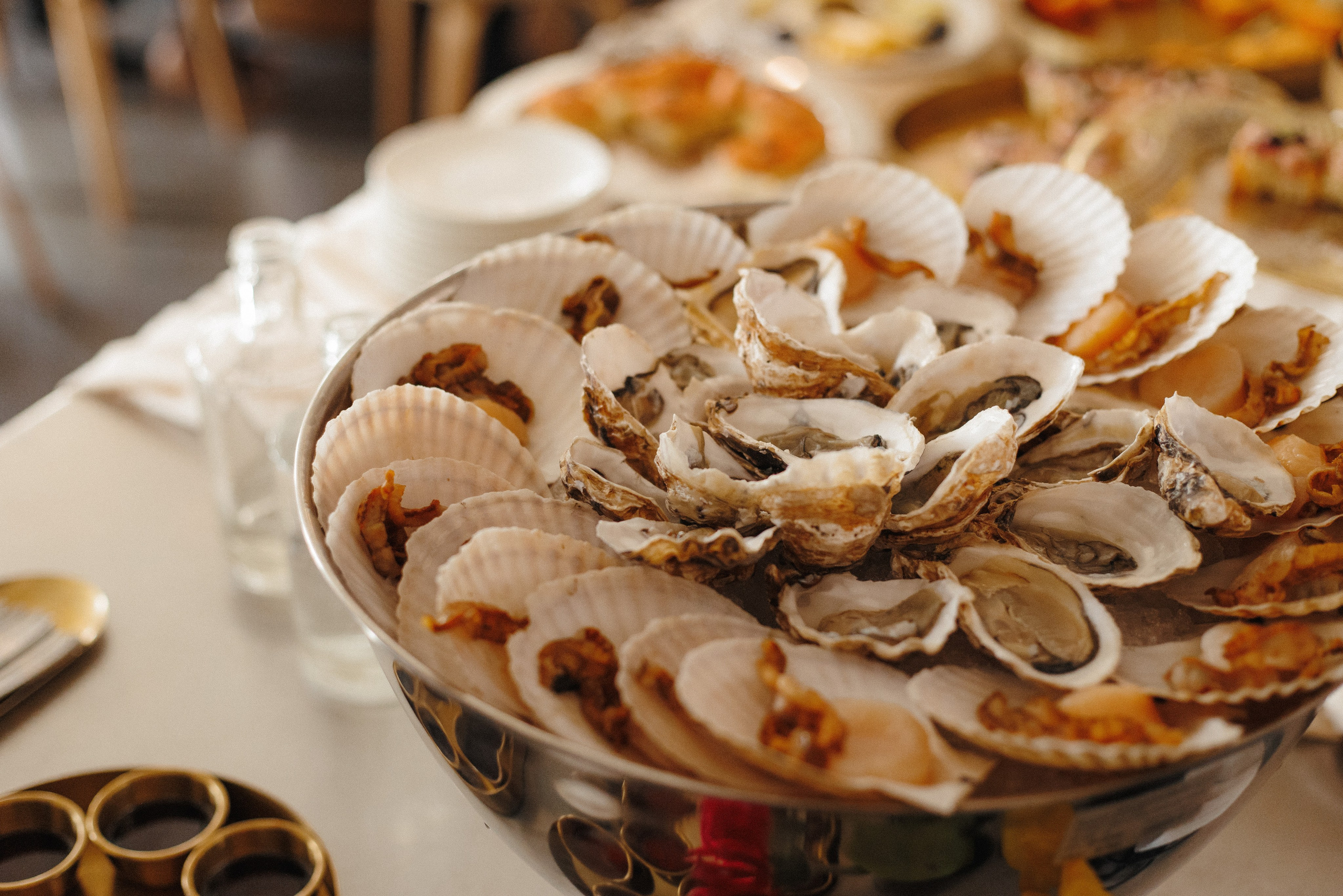 ФЕДЕРАЦИЯ — Презентация клубного дома. СВОИ. ФОТООТЧЕТЫ-СОБЫТИЯ-МЕСТА