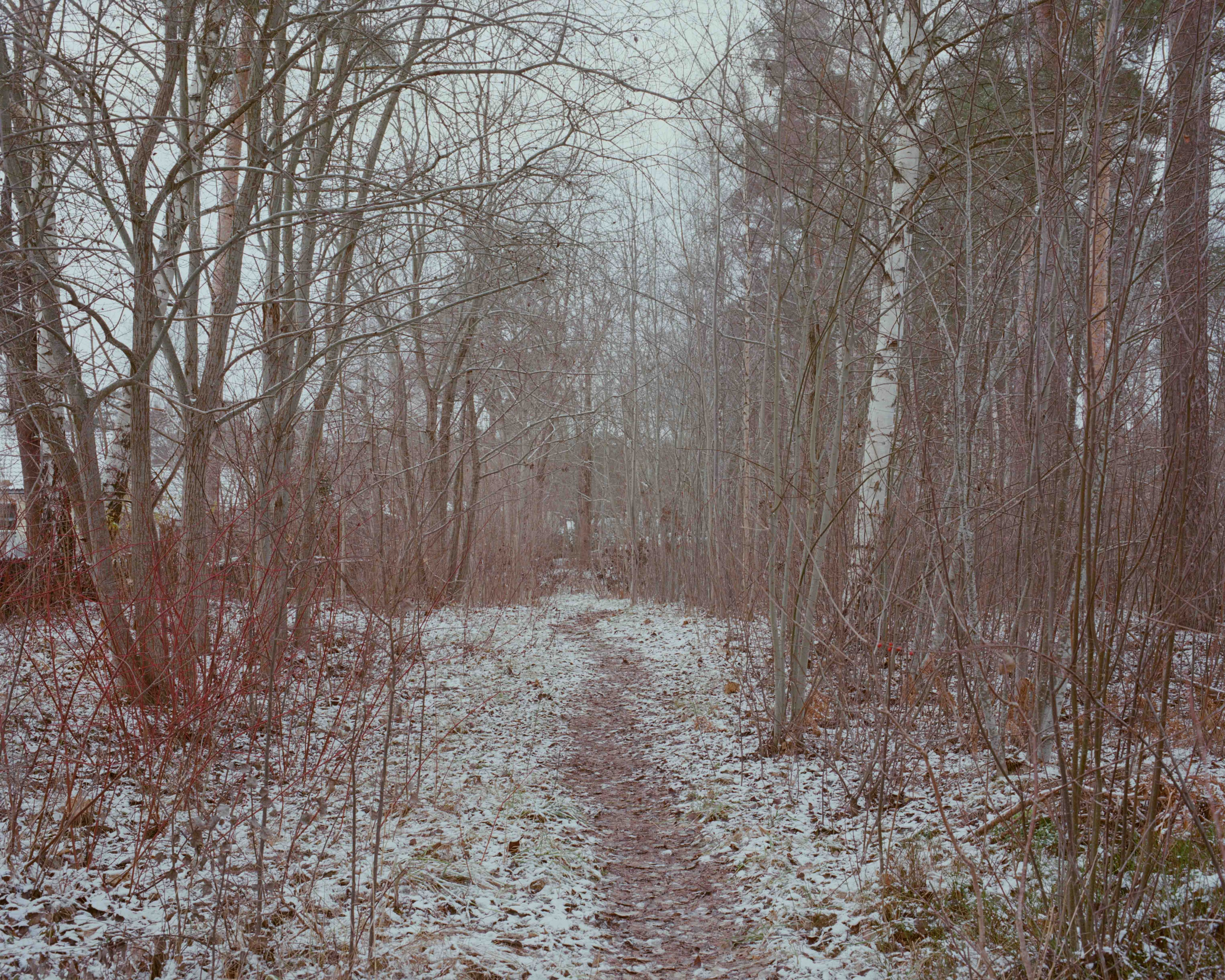 Проект «Wander Lines» Тевы Косич (Teva Cosic). Private image