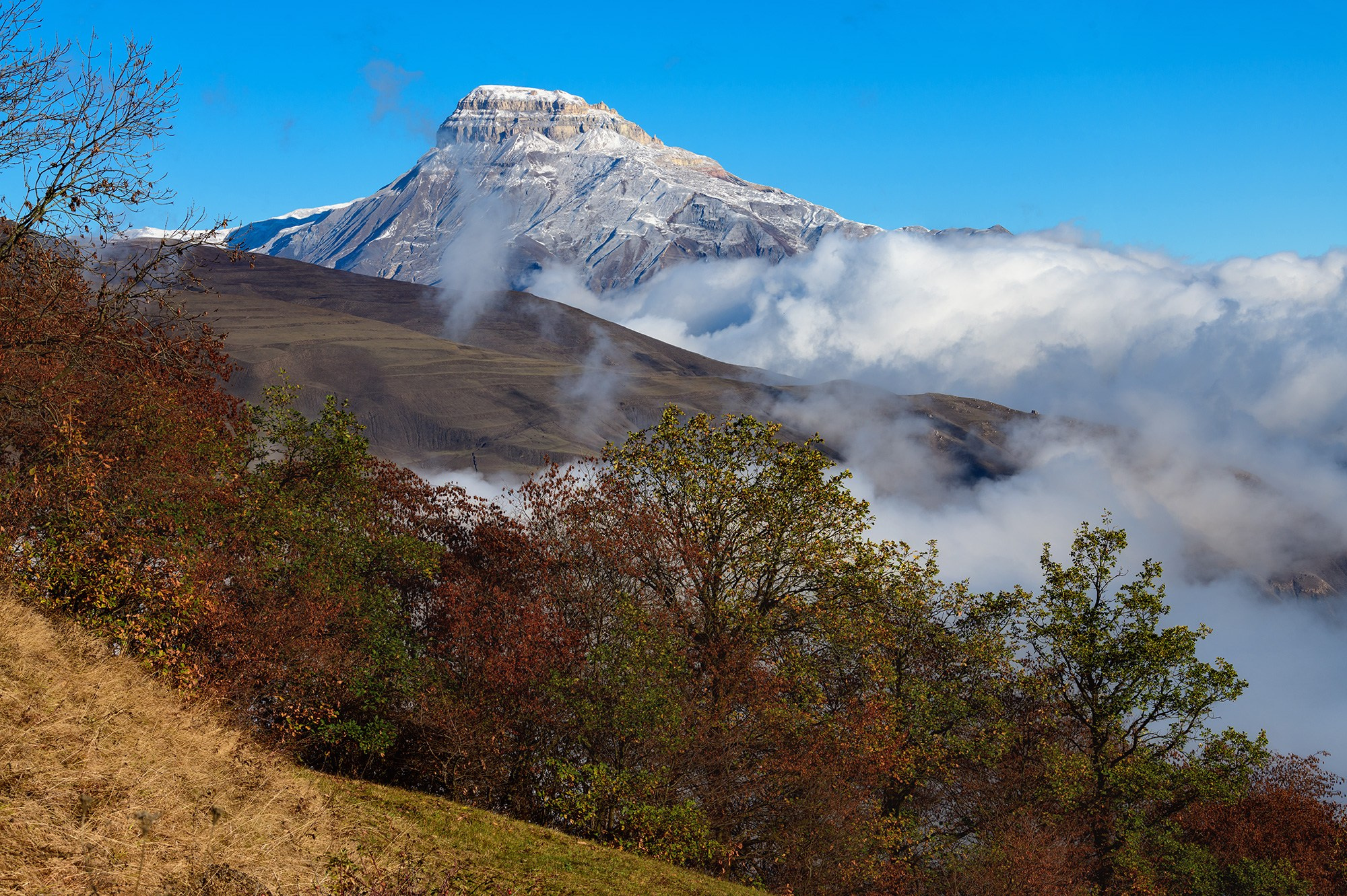 ЮжДаг октябрь 2026