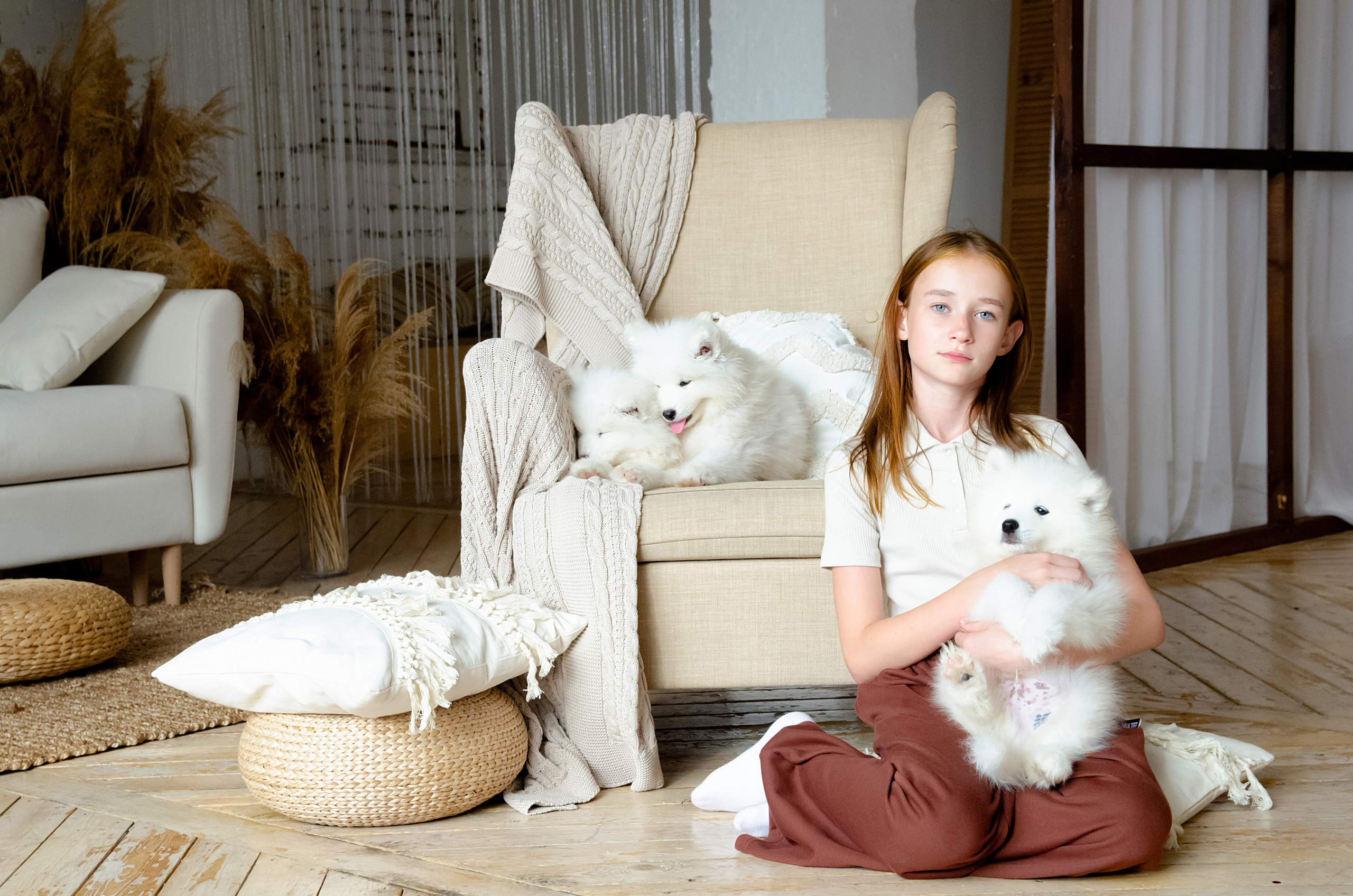 Фотосессия с щенками. Фотограф в Хабаровске