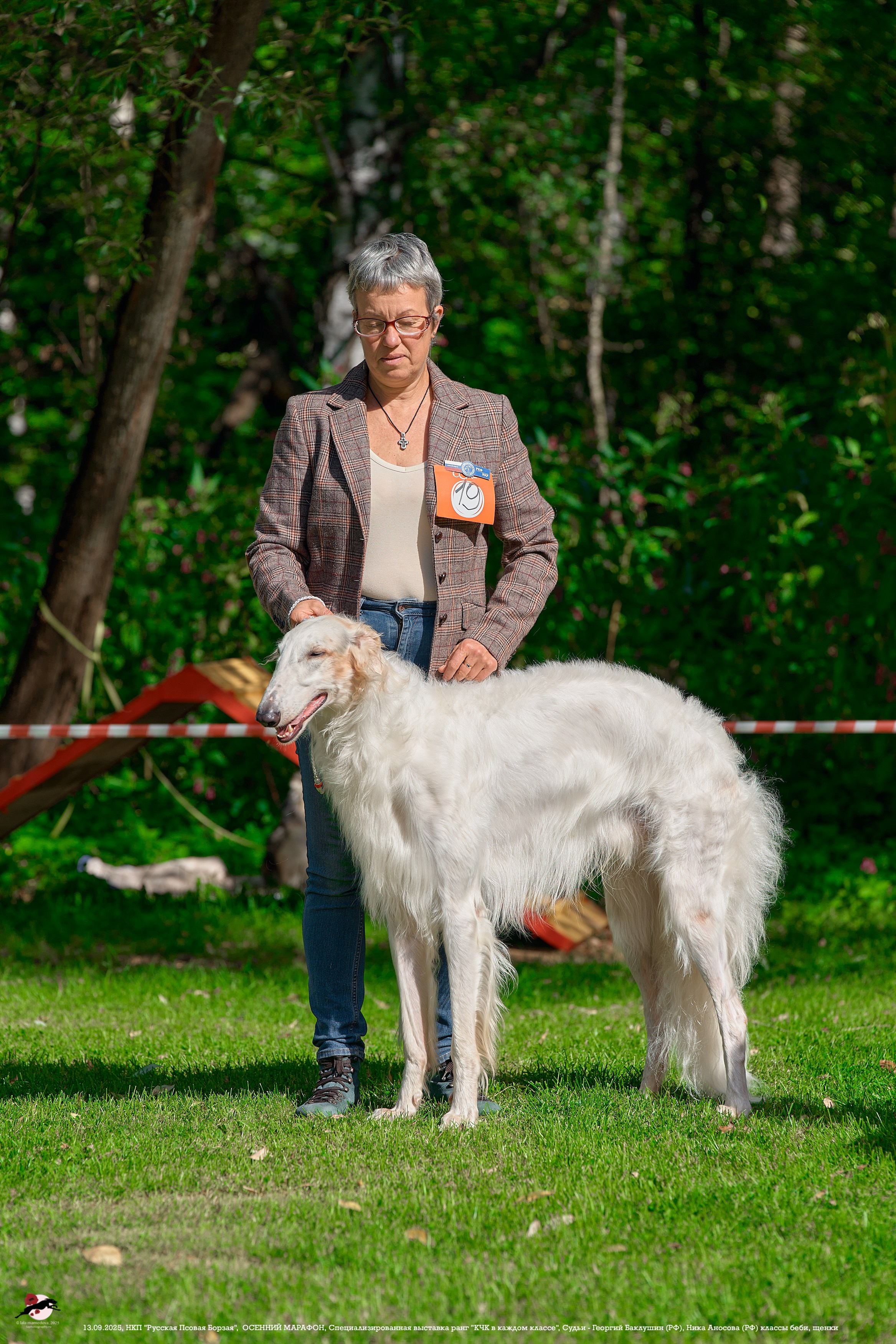 ОСЕННИЙ МАРАФОН | Специализированная выставка породы Русская Псовая Борзая ранг "КЧК в каждом классе"
