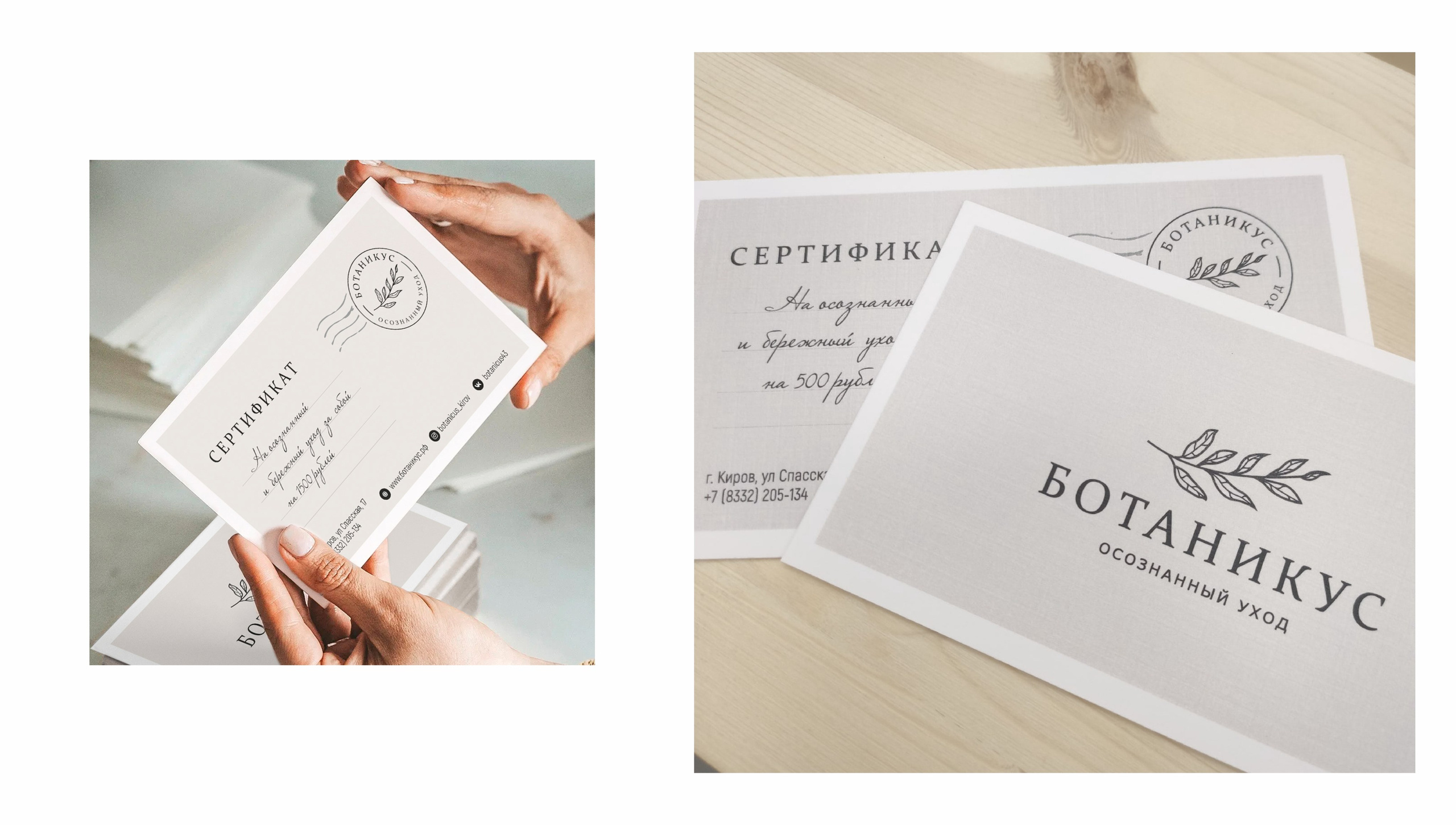 Логотип и фирменный стиль, Ботаникус