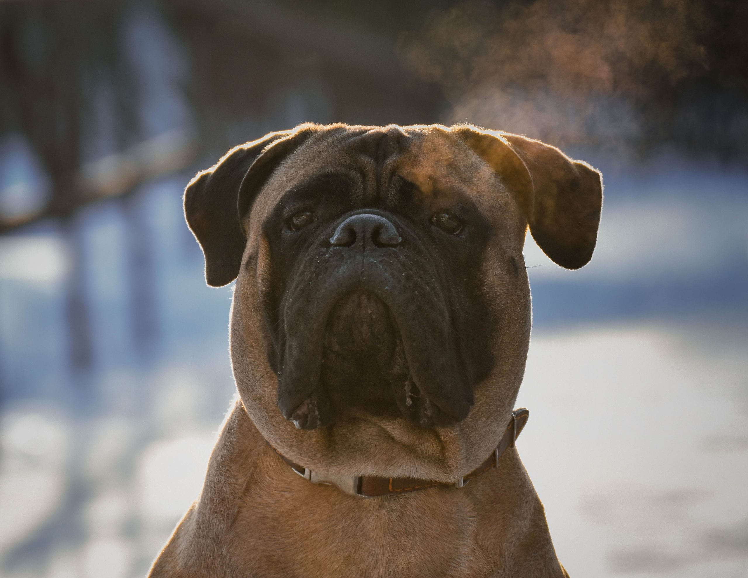 В созвучии с природой. Фотограф Светлана В. Пронина, Москва