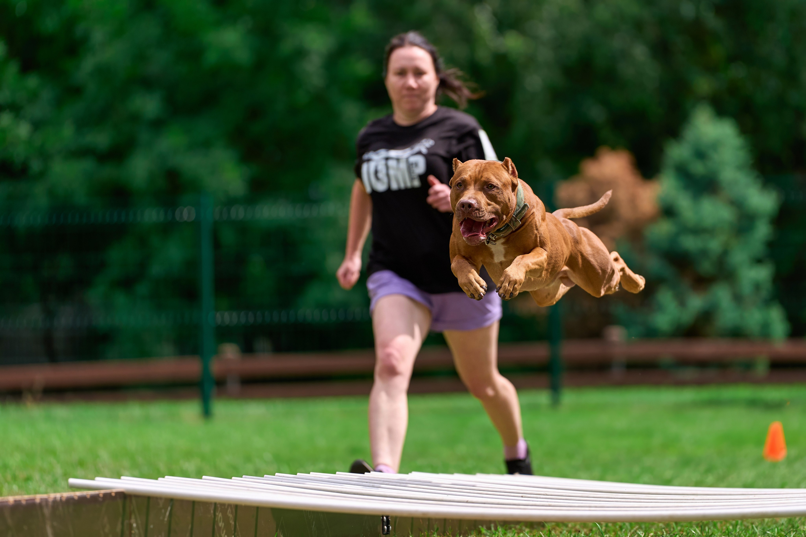 Jump'n'Gym JUMP! — 2024. Фотограф-анималист Михаил Манухин