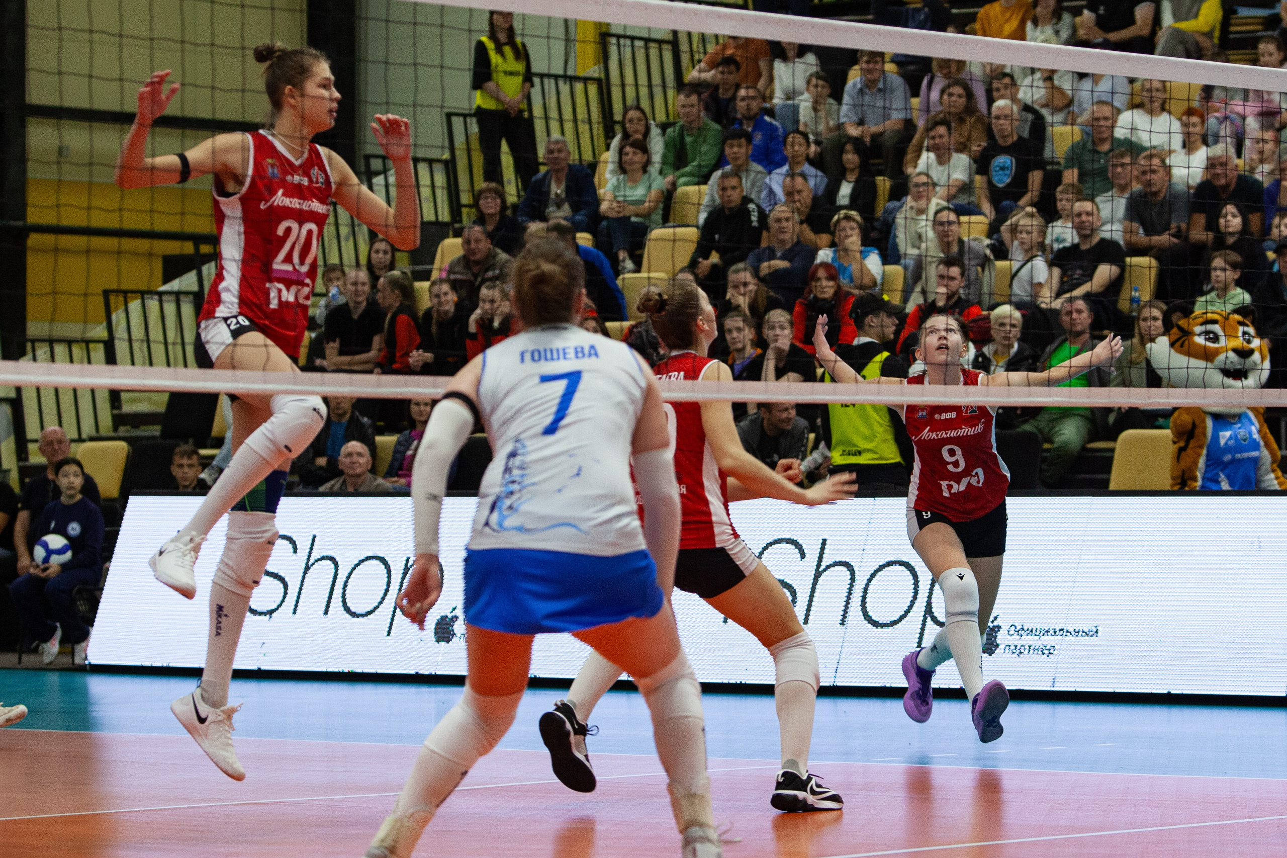 Один день из тура чемпионата России по волейболу. Кутузов Евгений Фотограф в Южно-Сахалинске