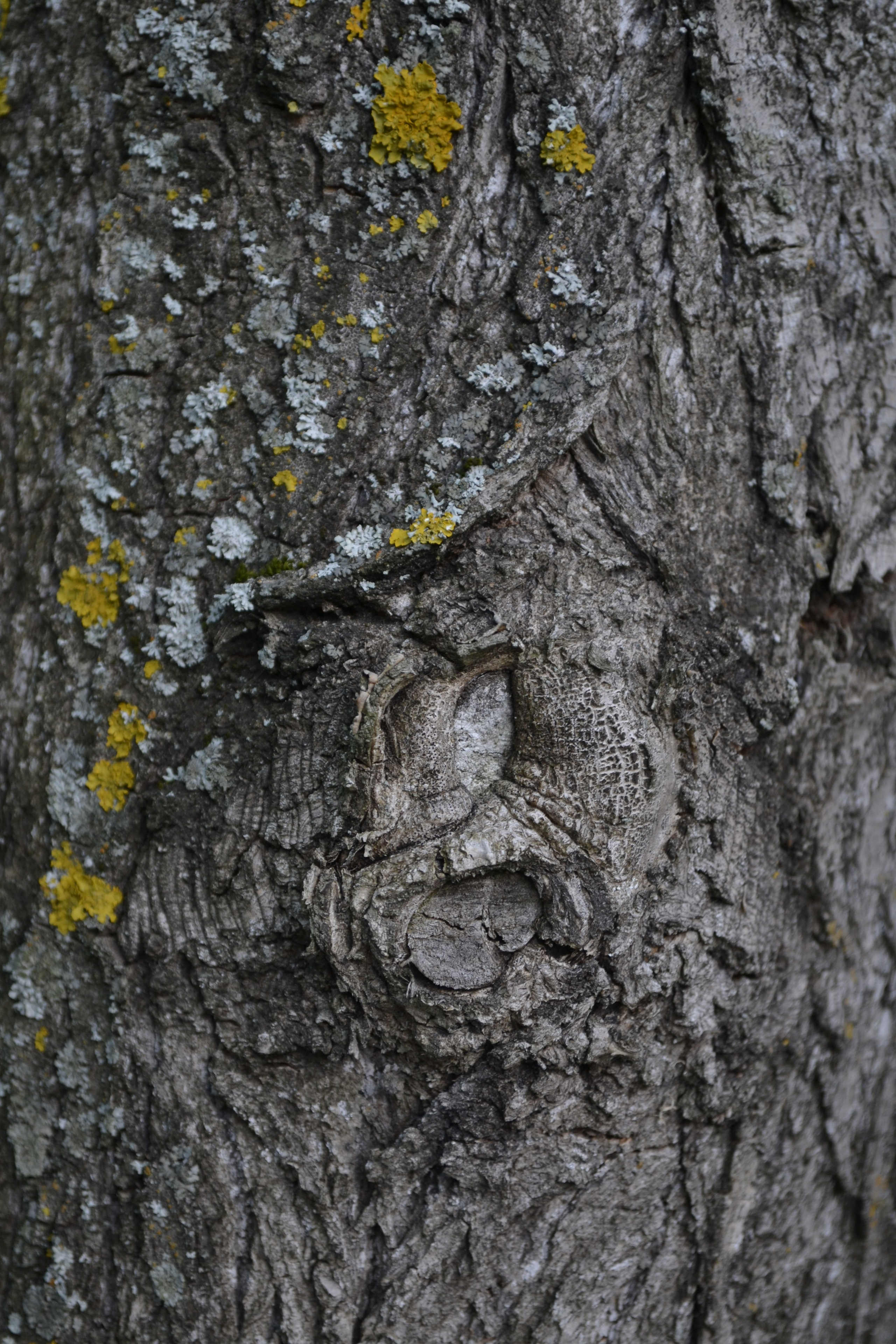 Светлана Пучкова | Мы — долгое эхо друг друга. Private image