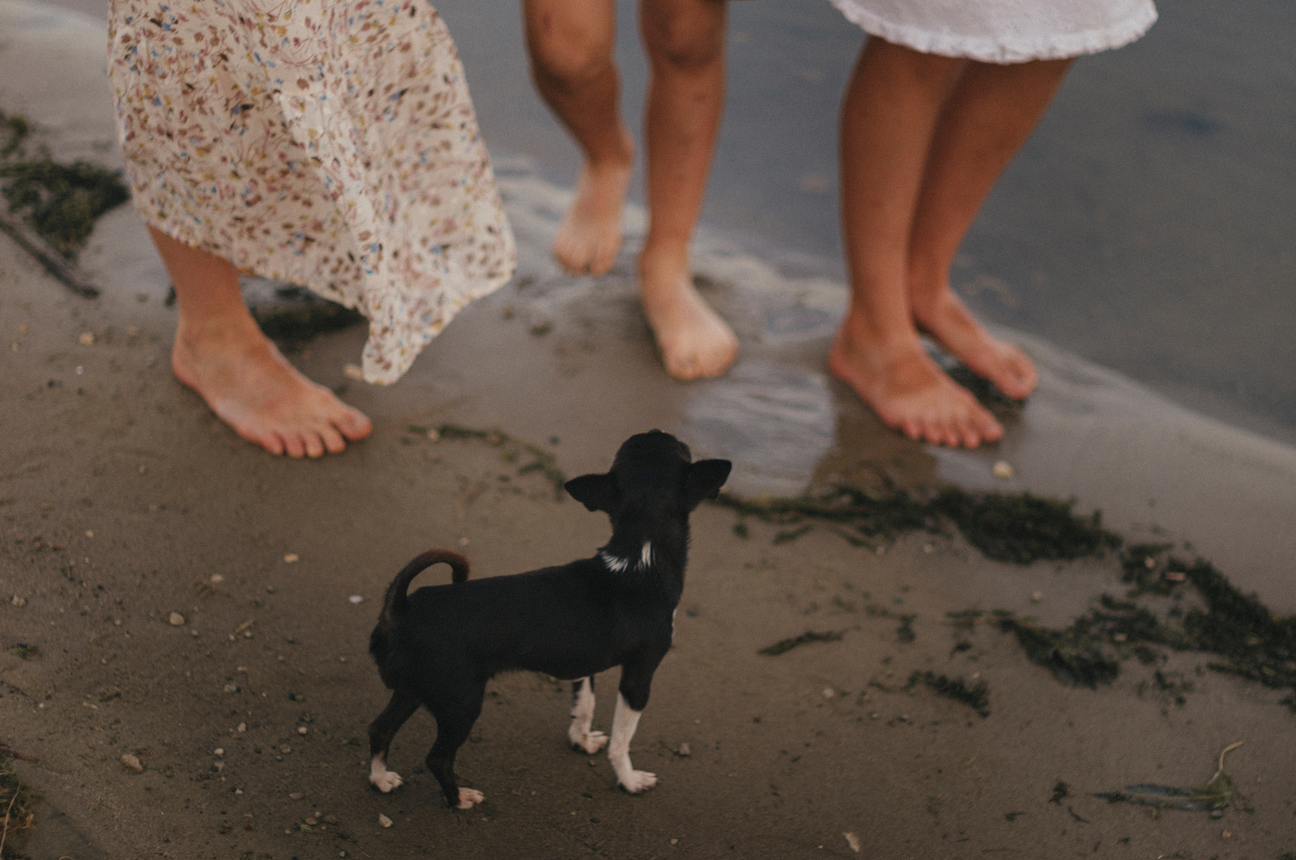 Яна, Варя, Парфён и Буся). Фотограф Катерина Тюрина. Саратов
