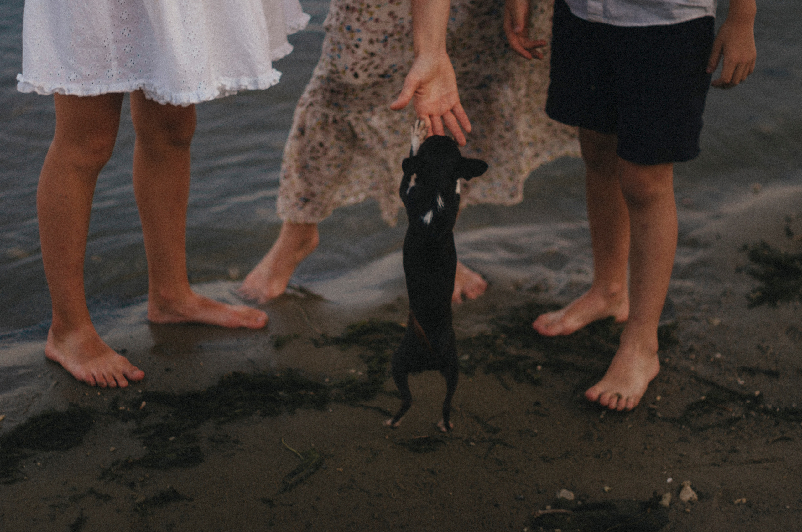 Яна, Варя, Парфён и Буся). Фотограф Катерина Тюрина. Саратов