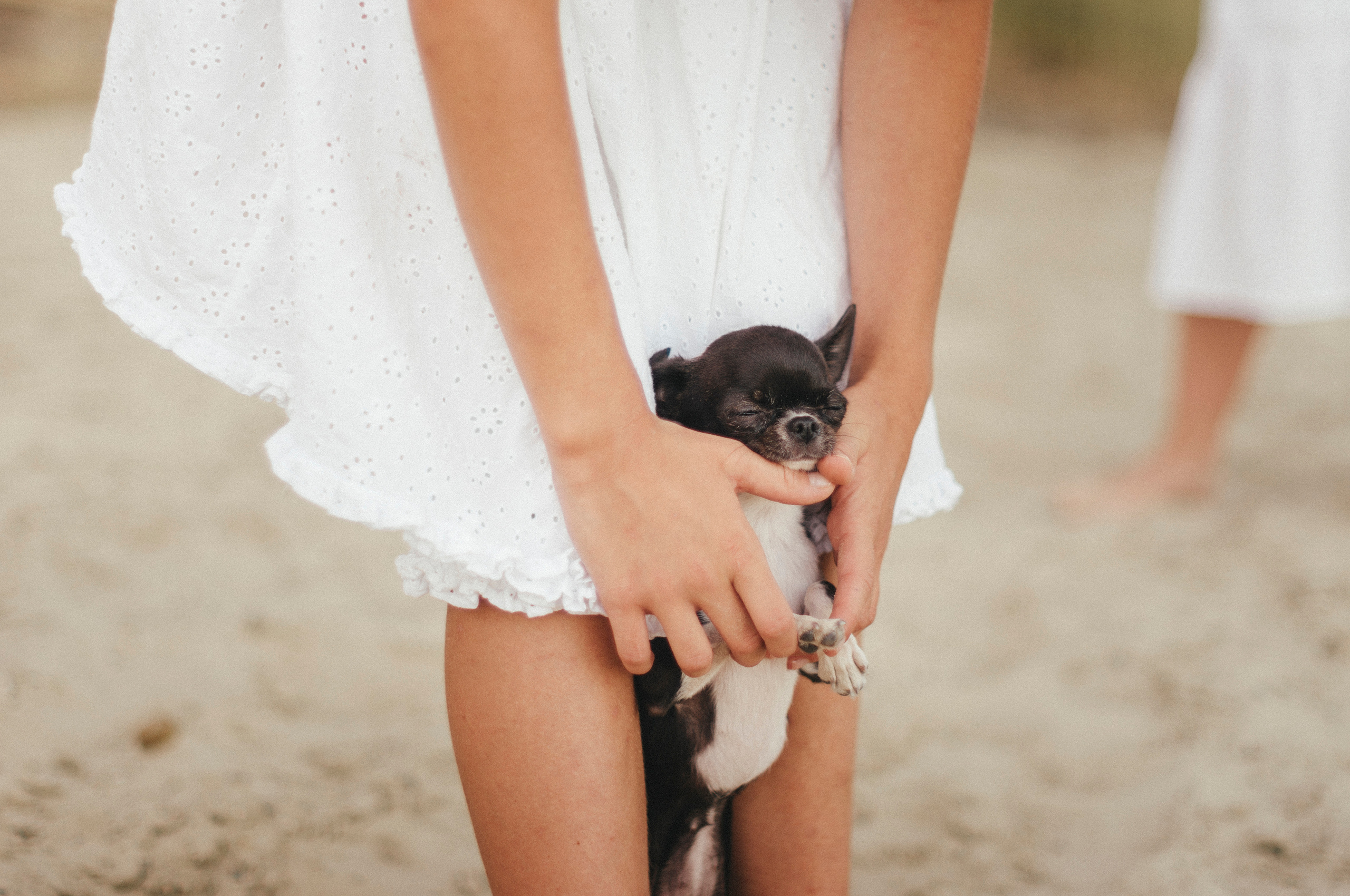 Яна, Варя, Парфён и Буся). Фотограф Катерина Тюрина. Саратов