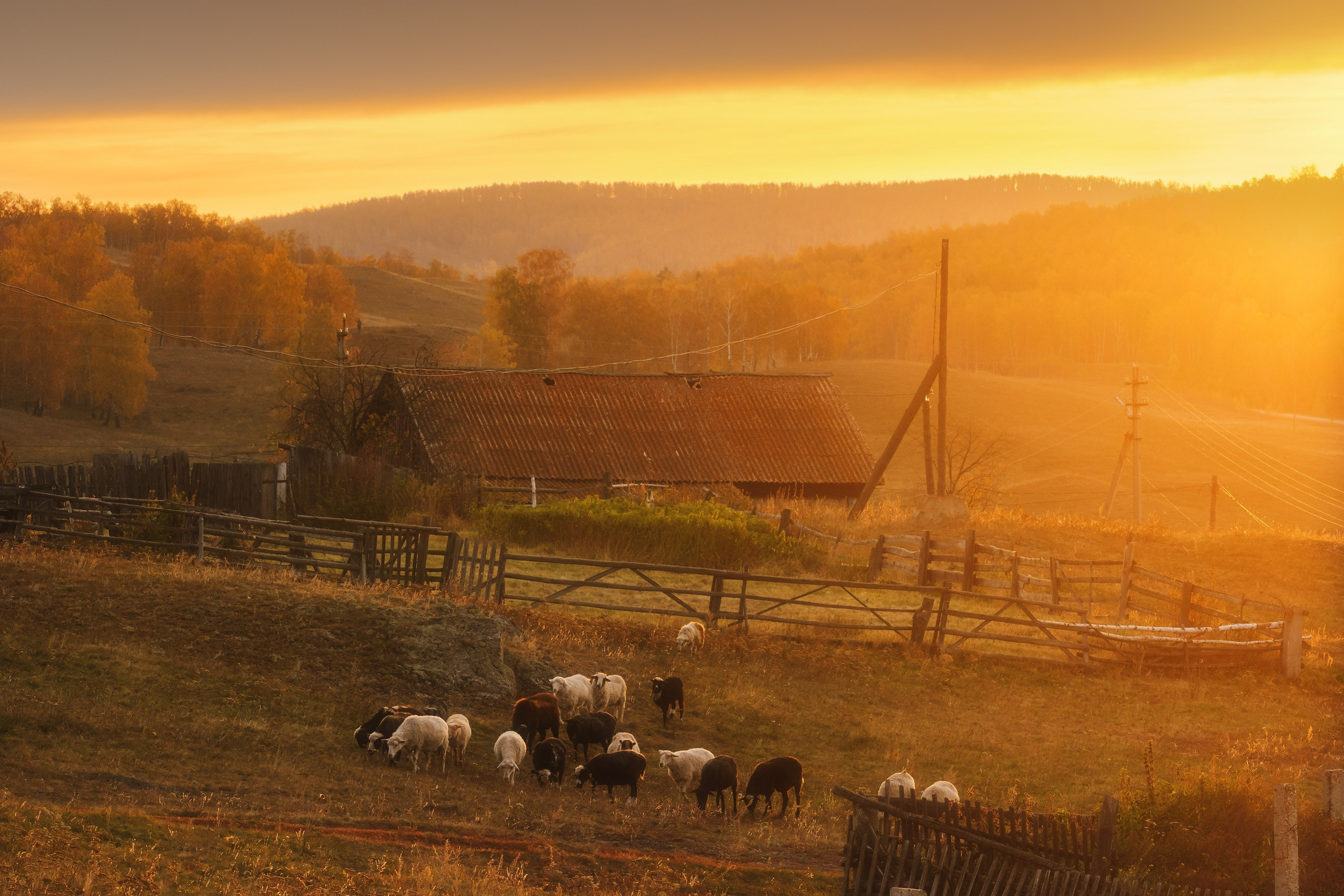 Золотой Башкортостан сентябрь