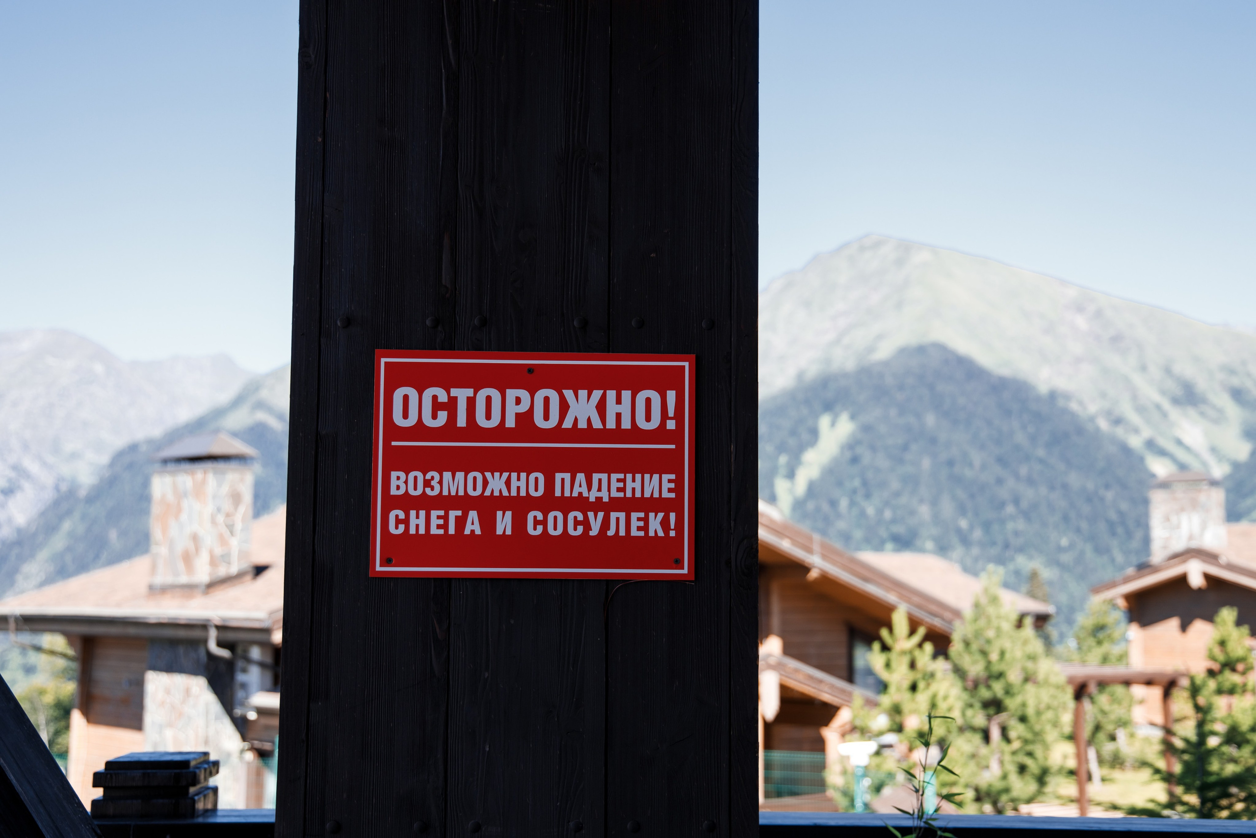 Свадьба в Сочи и в горах — фотограф Арманд. Свадебный фотограф в Абхазии, Сухум, Гагра, Сочи