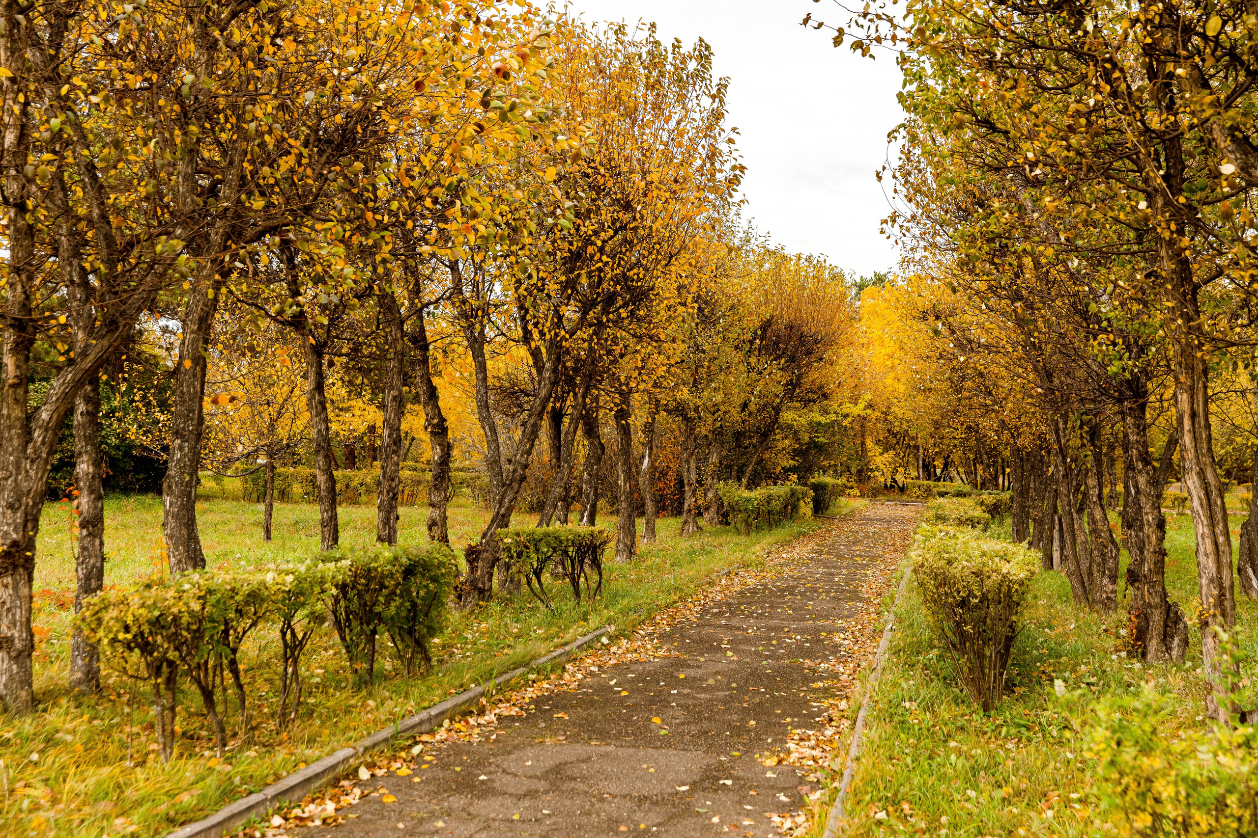 Осень в парке. Семейный и детский фотограф в Железногорске Саламахо Ольга