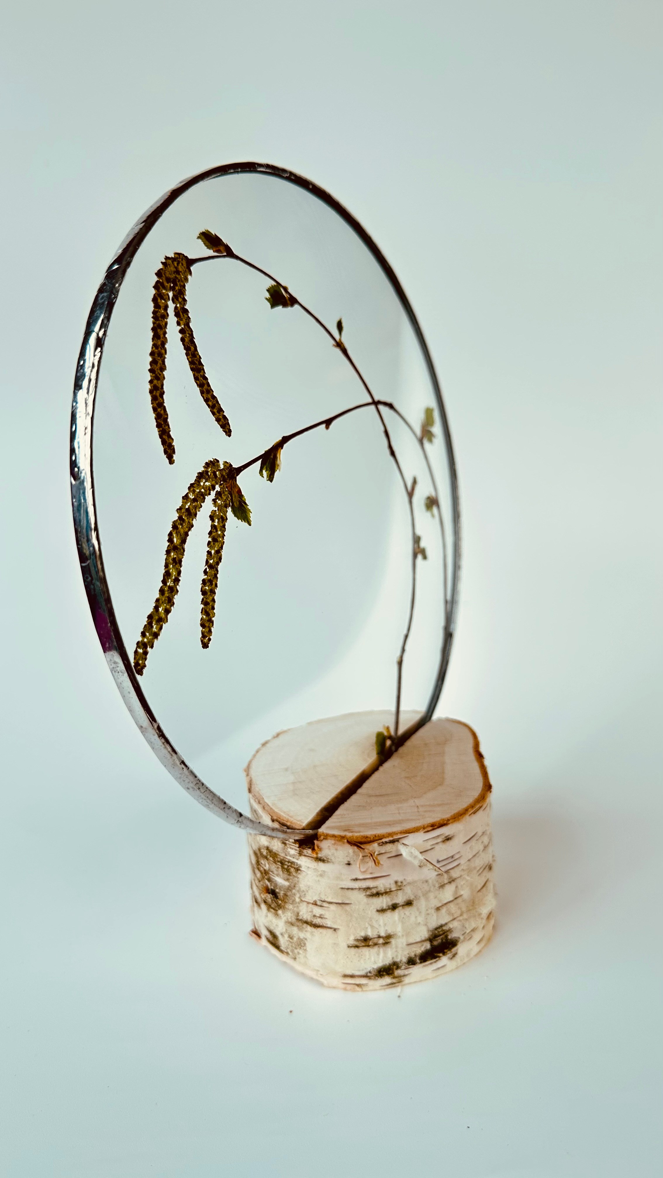 Береза круг 20 см. Оформляю пространства. Витражи с сухоцветами в технике Тиффани