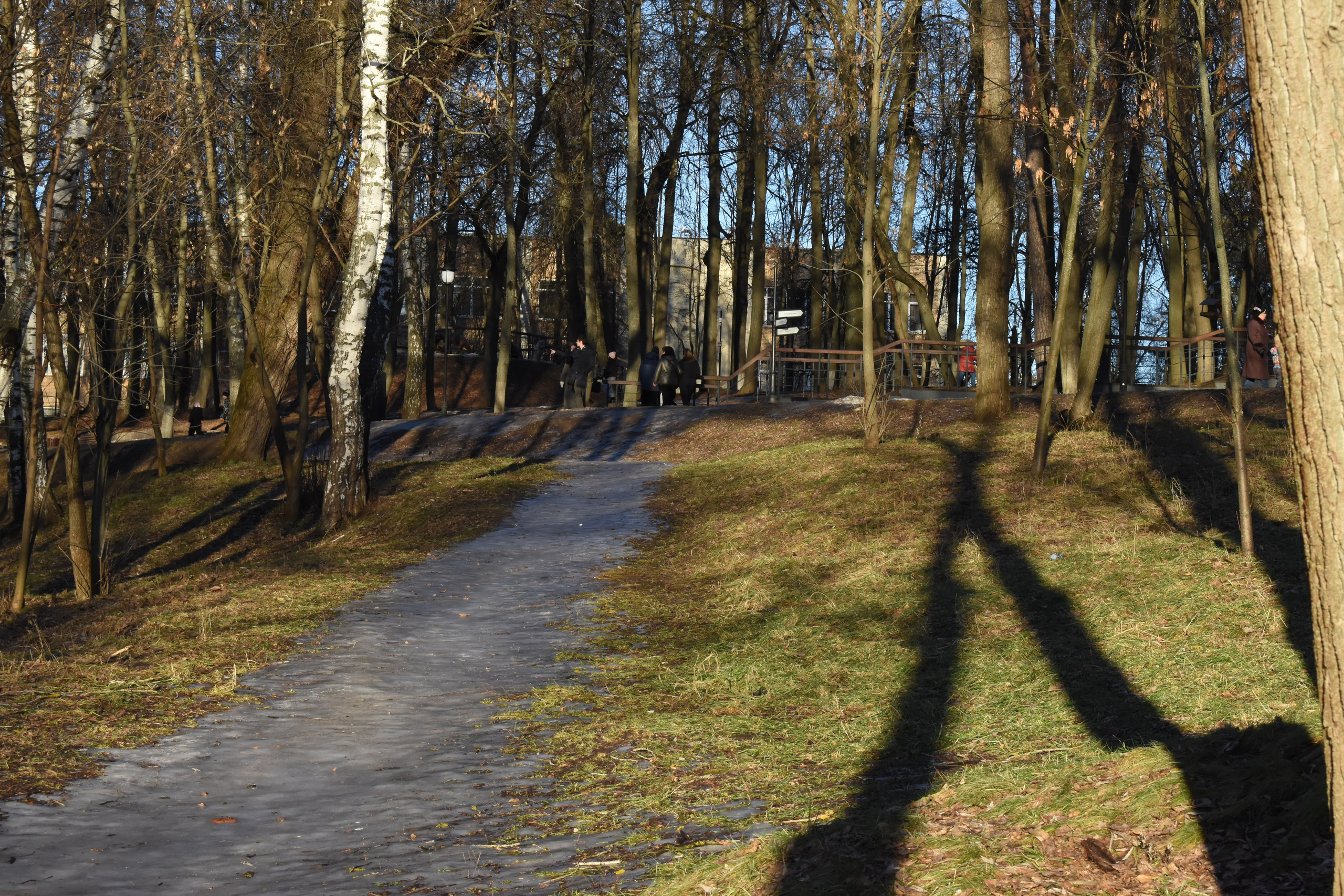 Раменское. Фотограф Анатолий Мелентьев