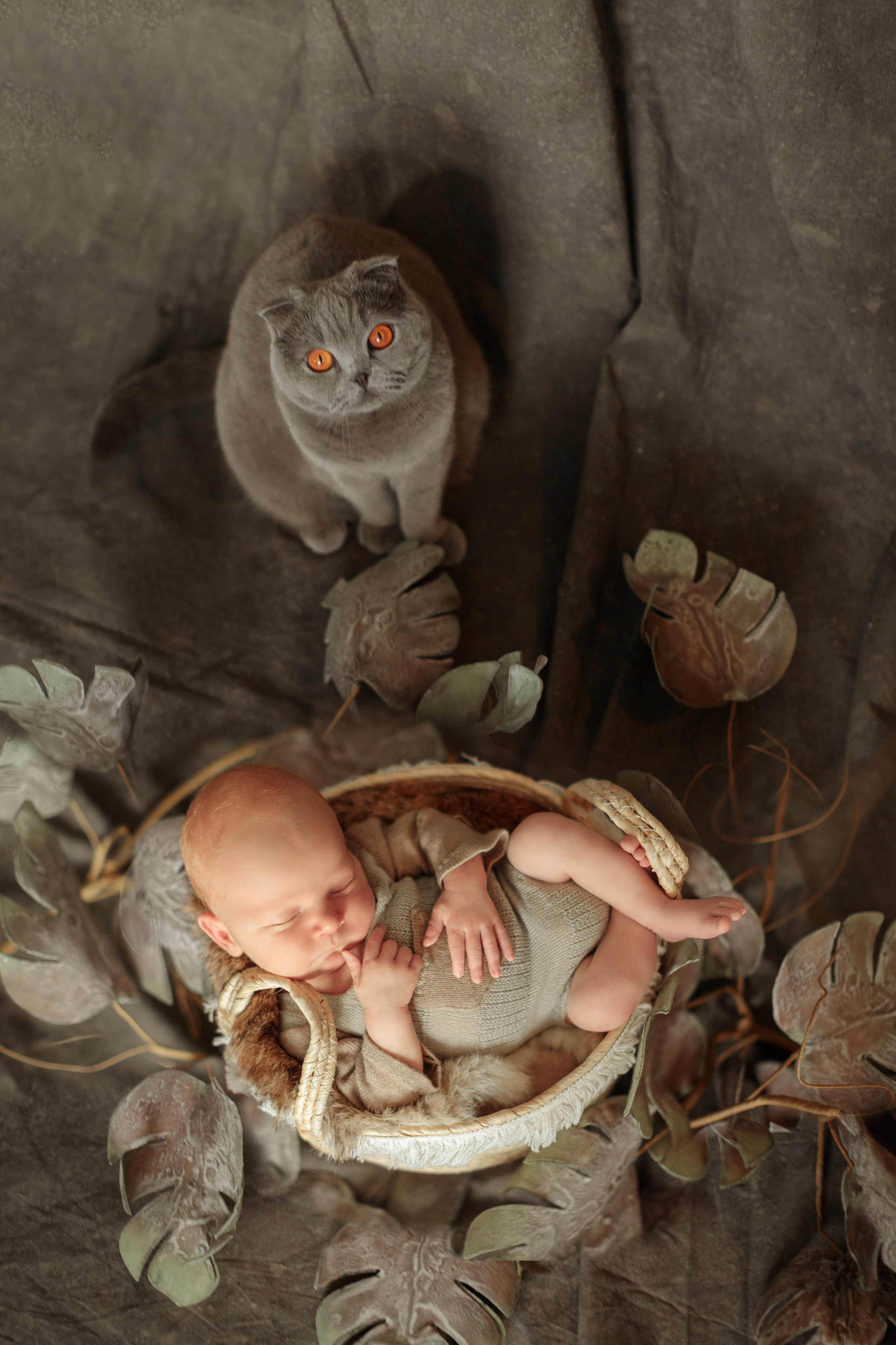 Тимофей. Olga Alice Pro Photo