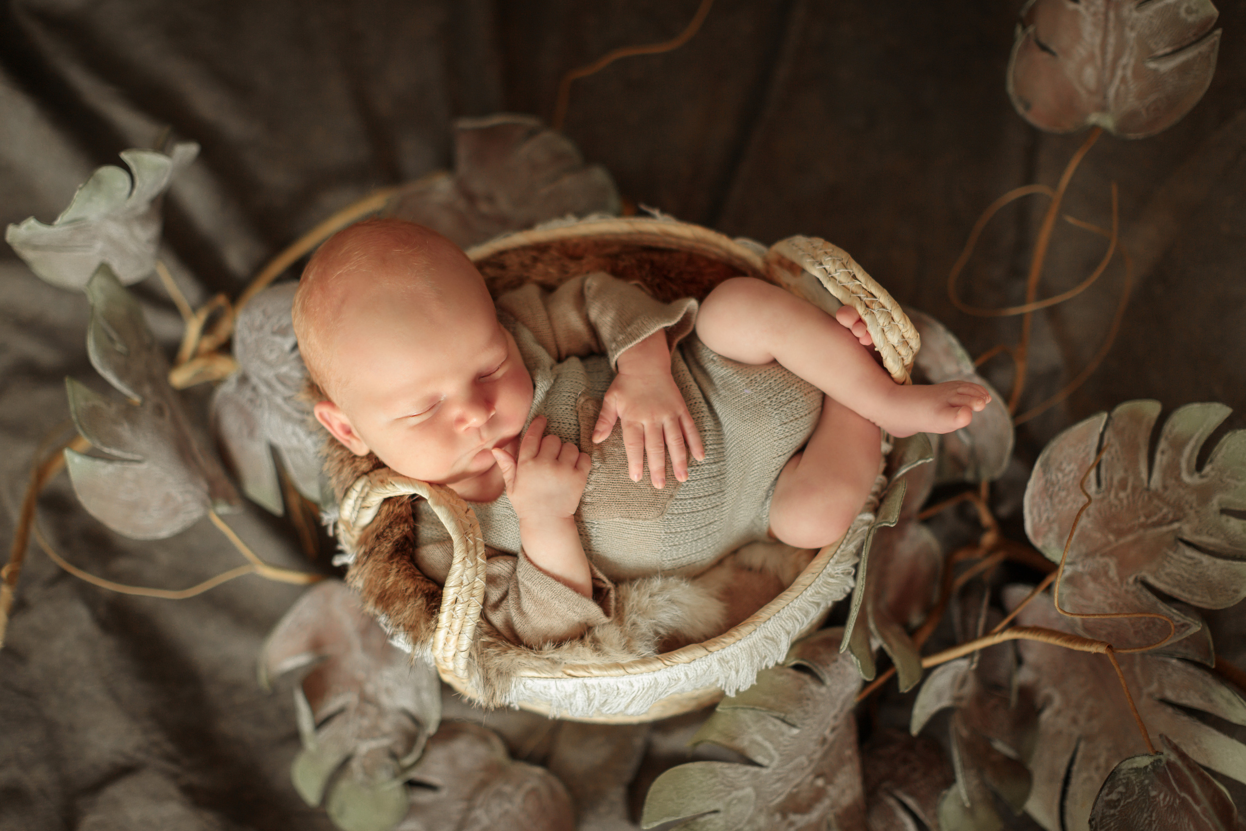 Тимофей. Olga Alice Pro Photo