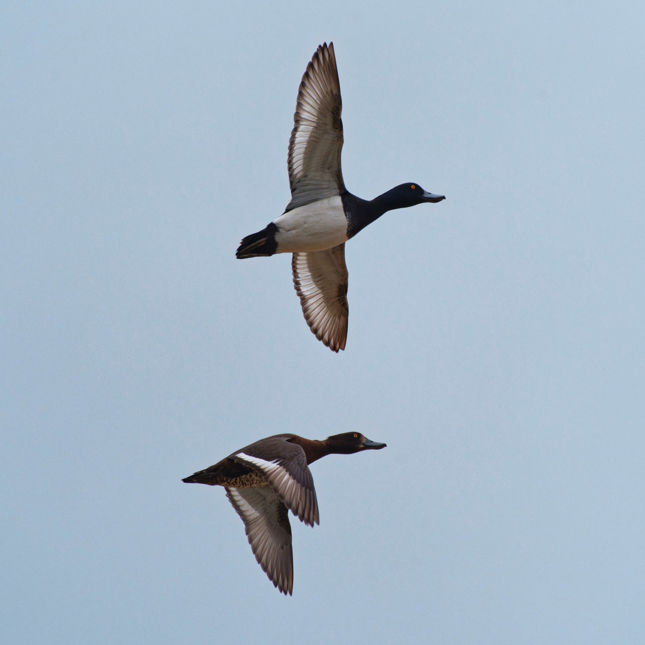 Экспедиция в Монголию (котловина больших озер). Семоха Валерий. Фотограф